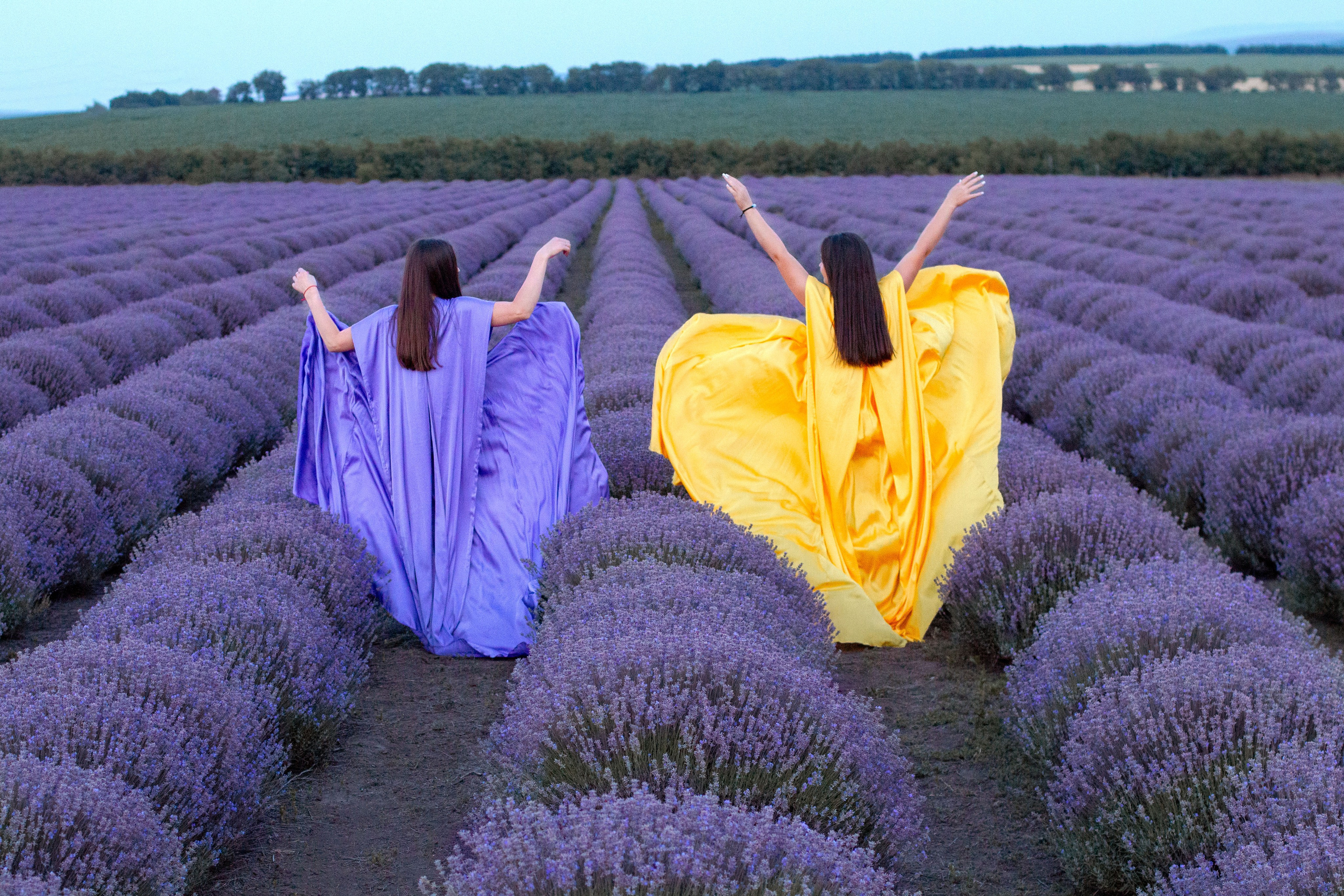 Лаванда. Детский и семейный фотограф в г. Бельцы