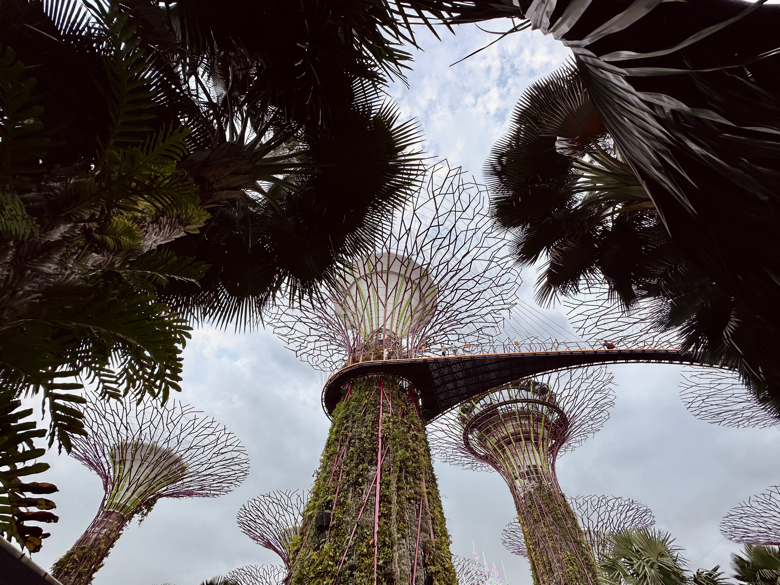 🇸🇬 Сингапур. Фотограф и travel-блоггер Александра Гриценко