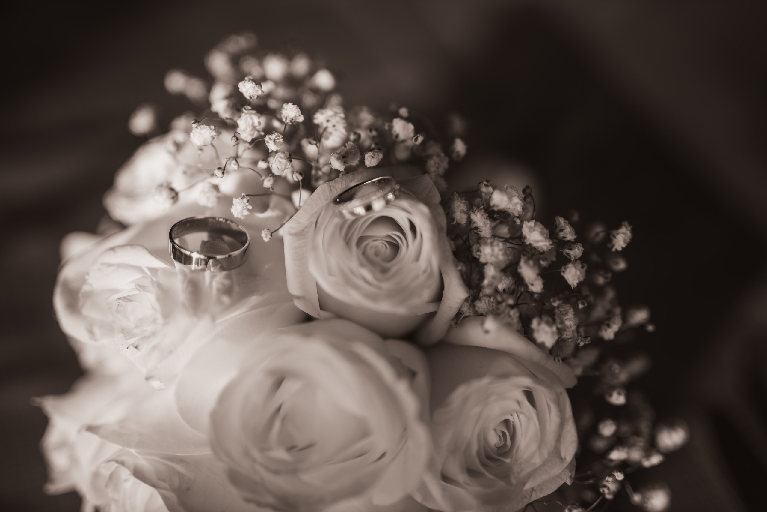 Mina & Dejan. Marko Tucić Photography | Fotograf Zrenjanin