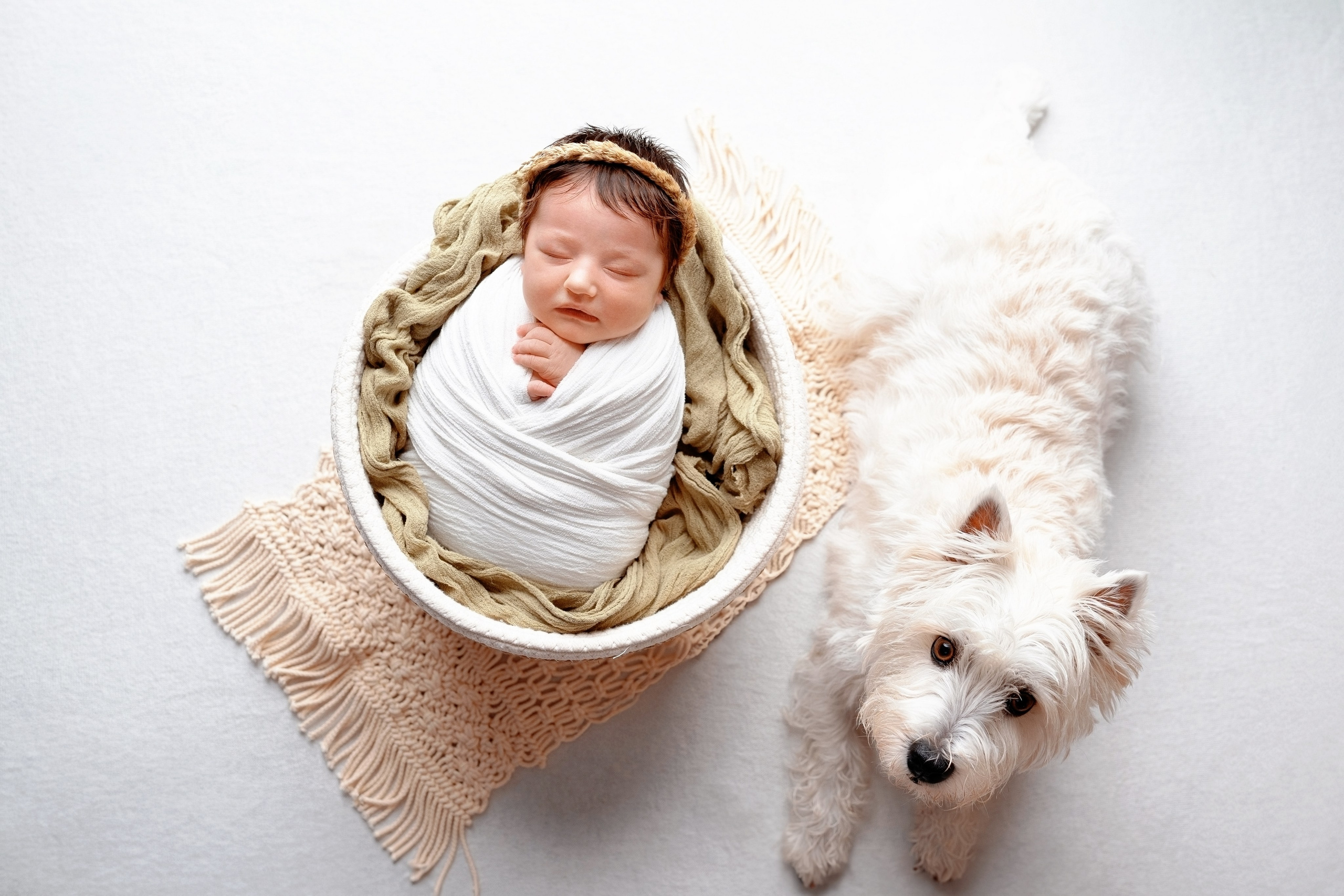 Оливия. Фотограф новорожденных и детей первого года Евгения Михалькевич