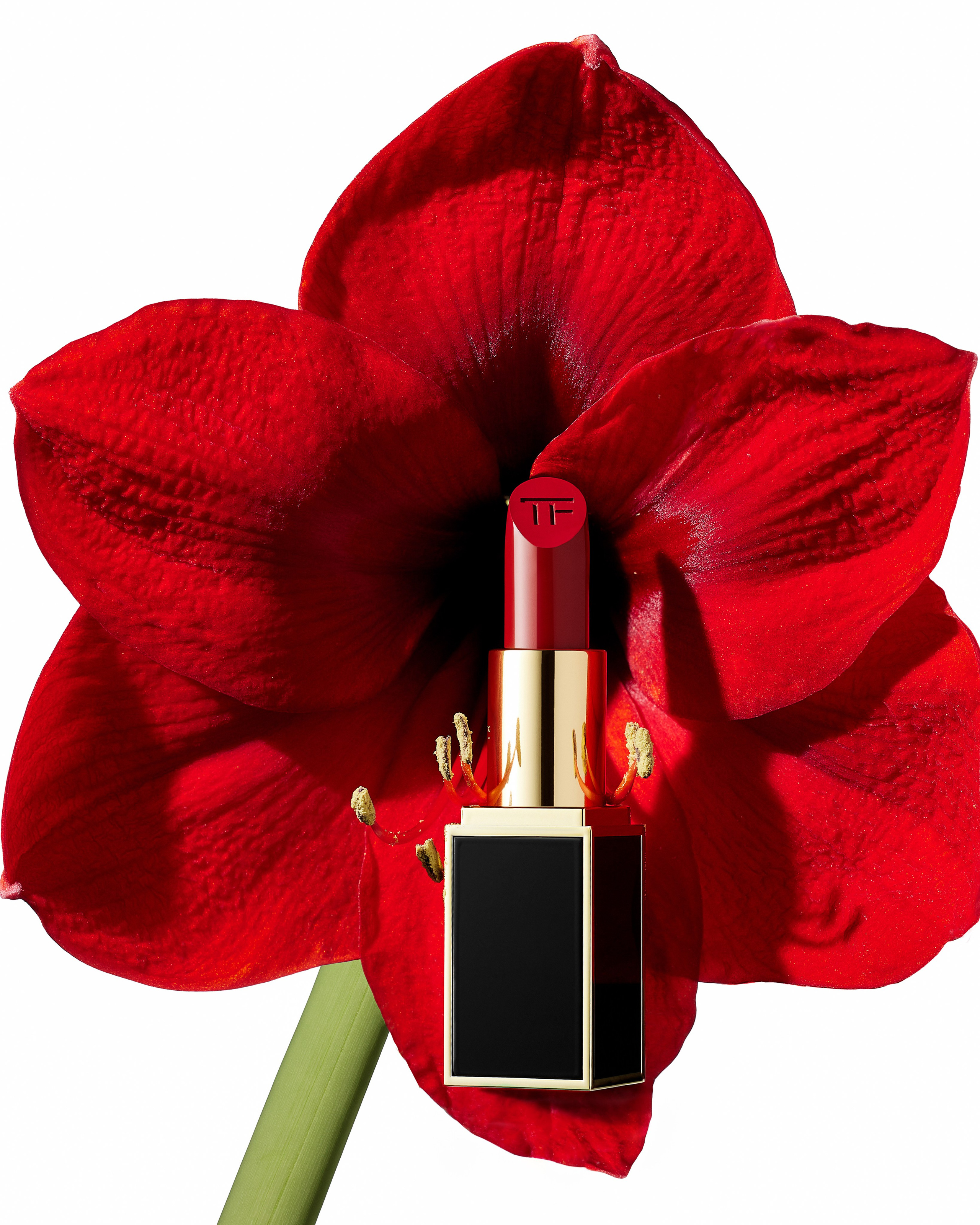 Laira Studio — creative Portrait and Product Photography in Vancouver