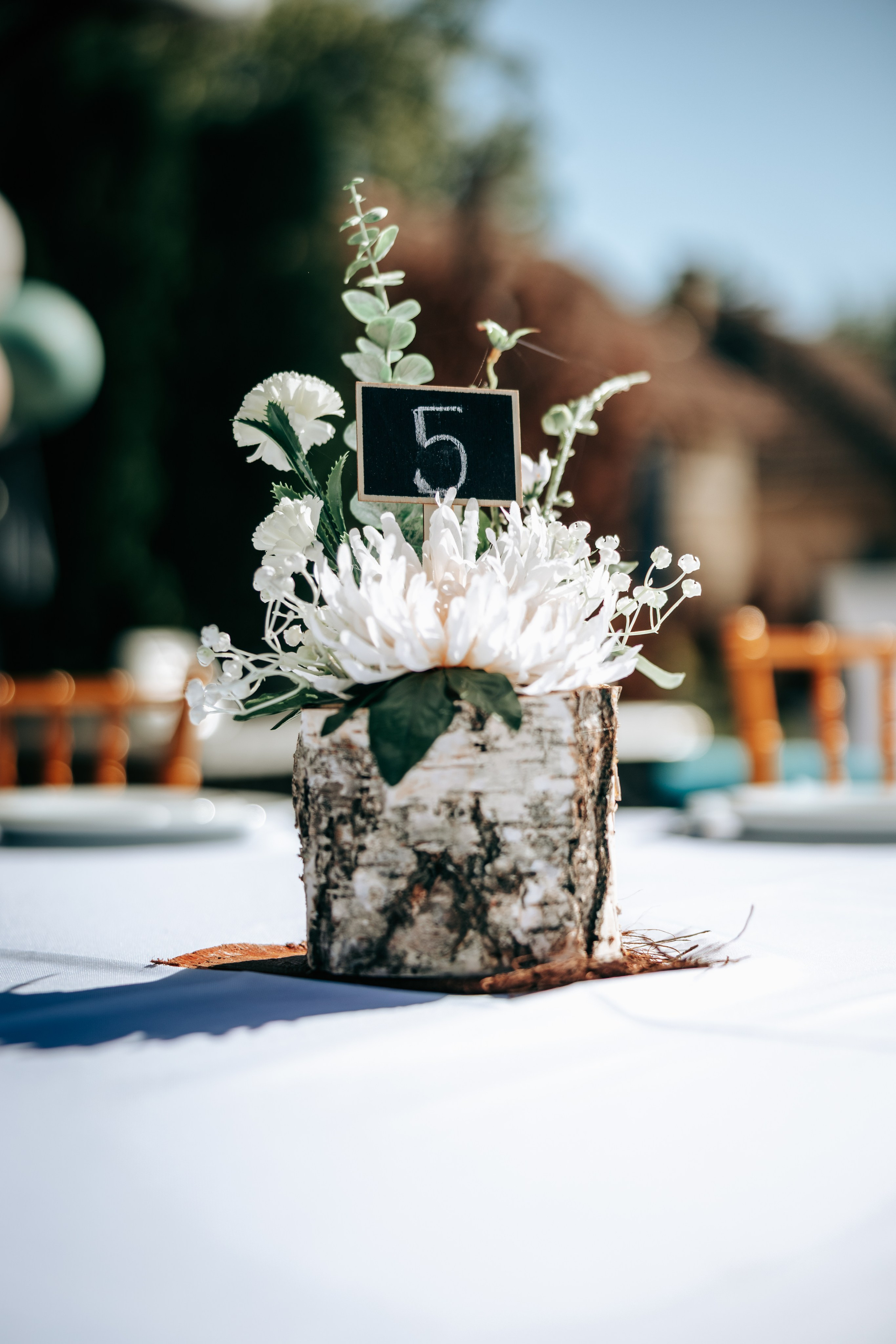 Marijana & Dejan - venčanje u Zmajevu Vila Oaza. Profesionalni fotograf za venčanja – Milan Luković