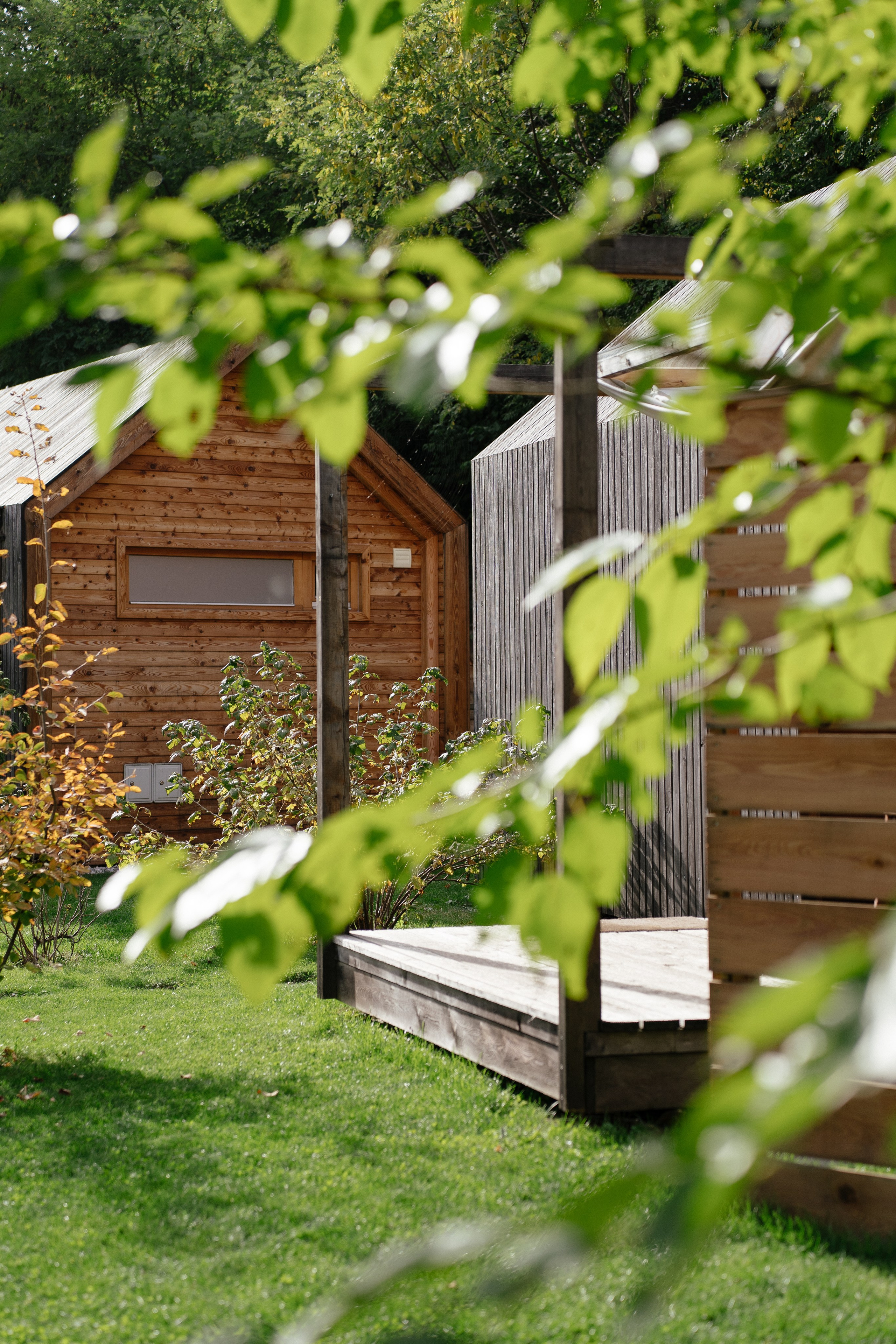 Airbnb. Patricia Morenci — Mountain Adventures for the Wild at Heart