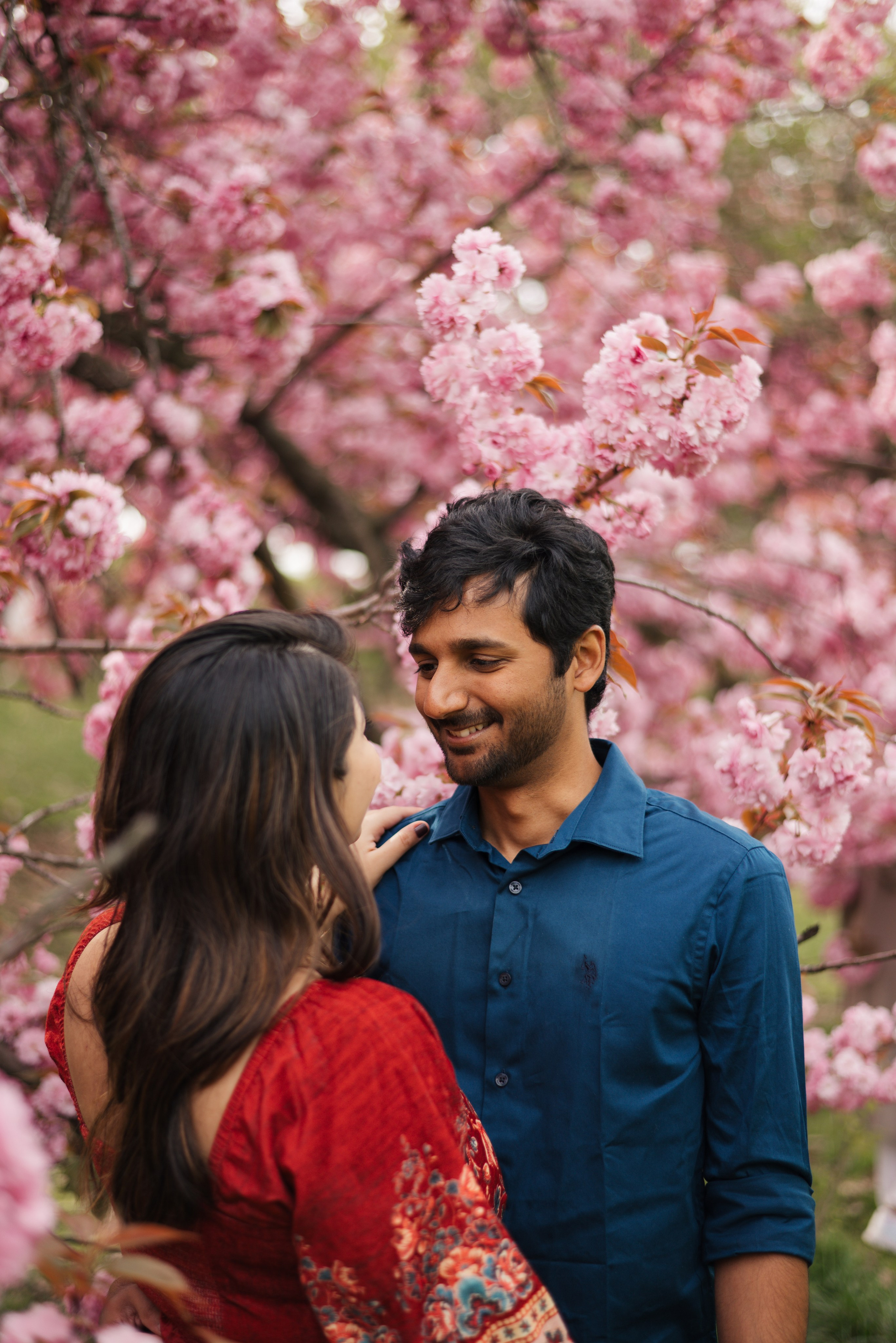 Cherry Blossom. Irina Goncharenko — NYC Photographer