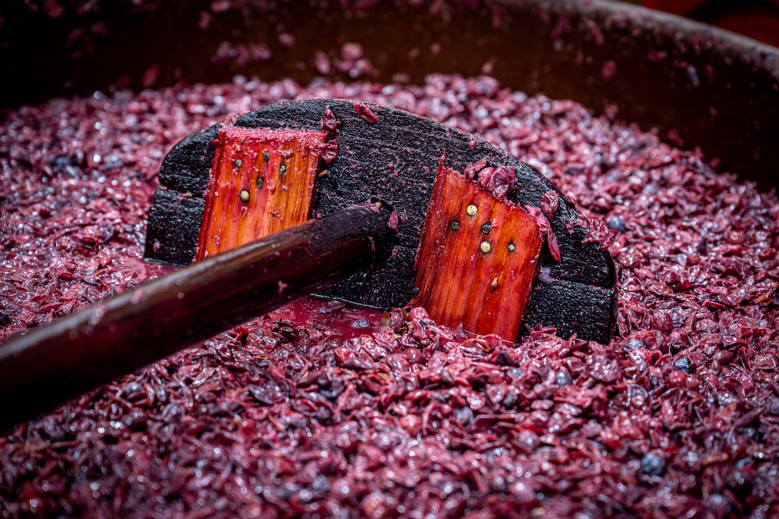 Cantine Boasso Serralunga. “Gianmaria Coscia fotografo per passione”