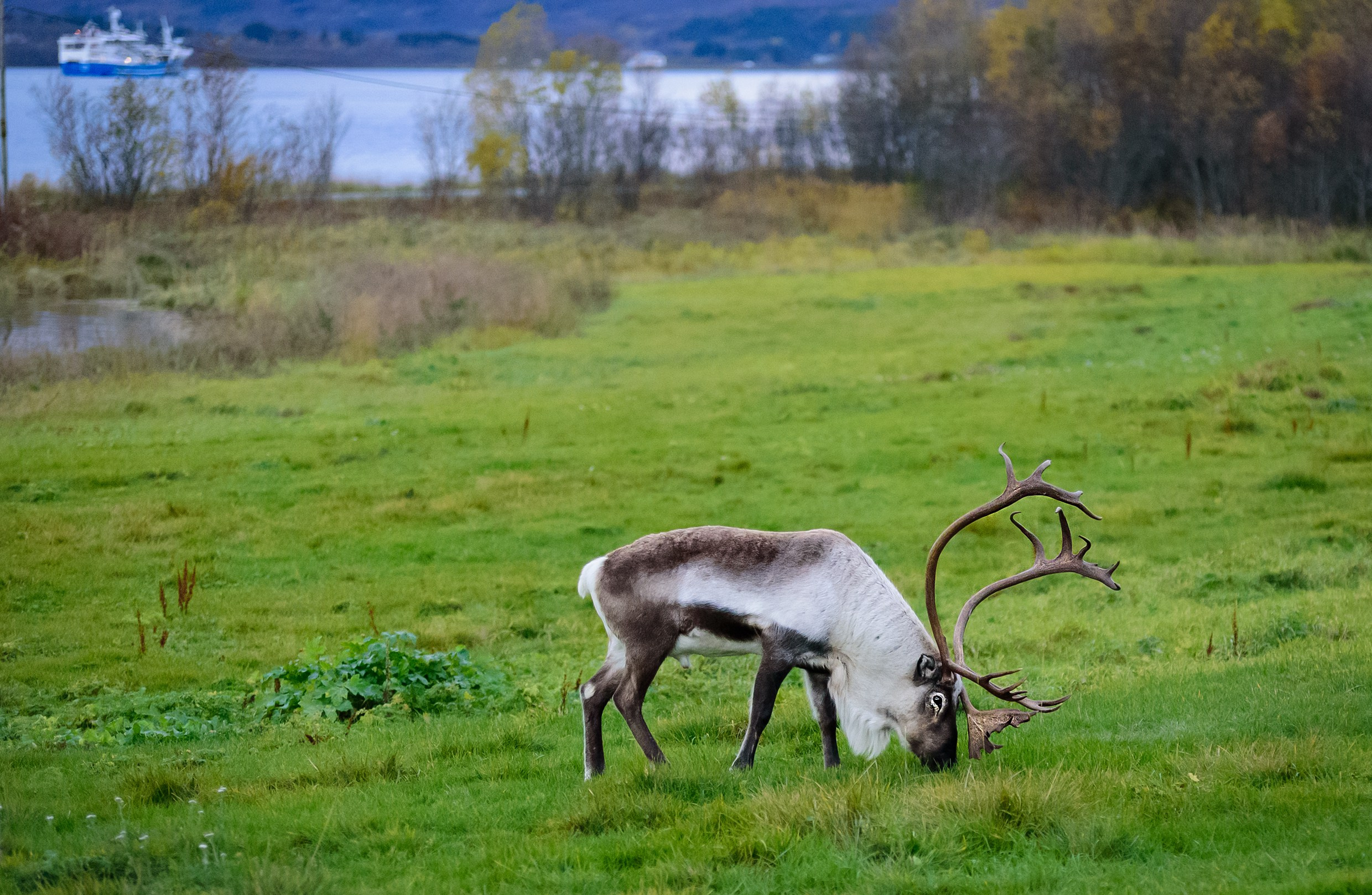 Travel. Klausenburg Photography