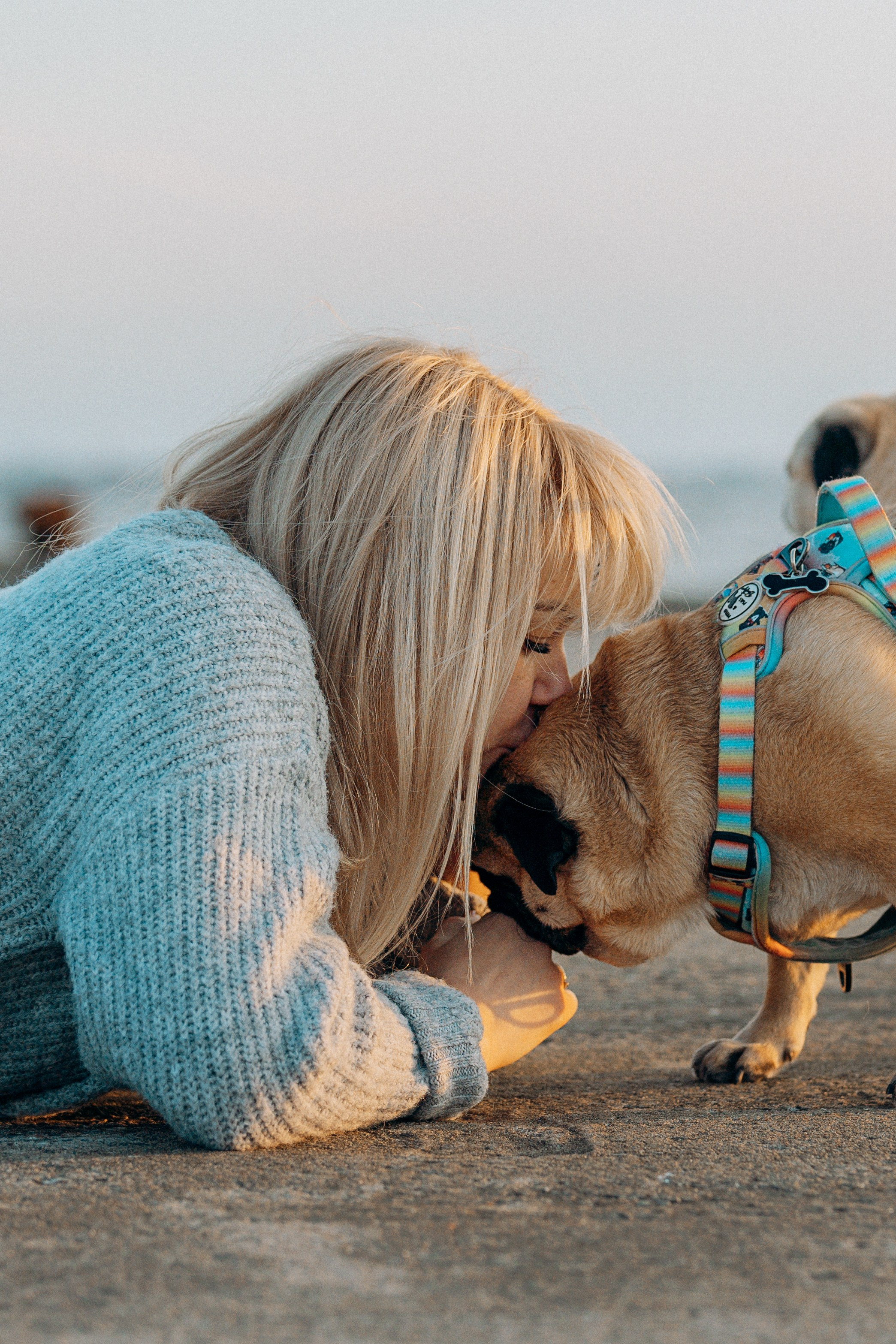 Frank, Tony, Katerina & Lev. Kat Laisaar — Pet photographer in Tallinn