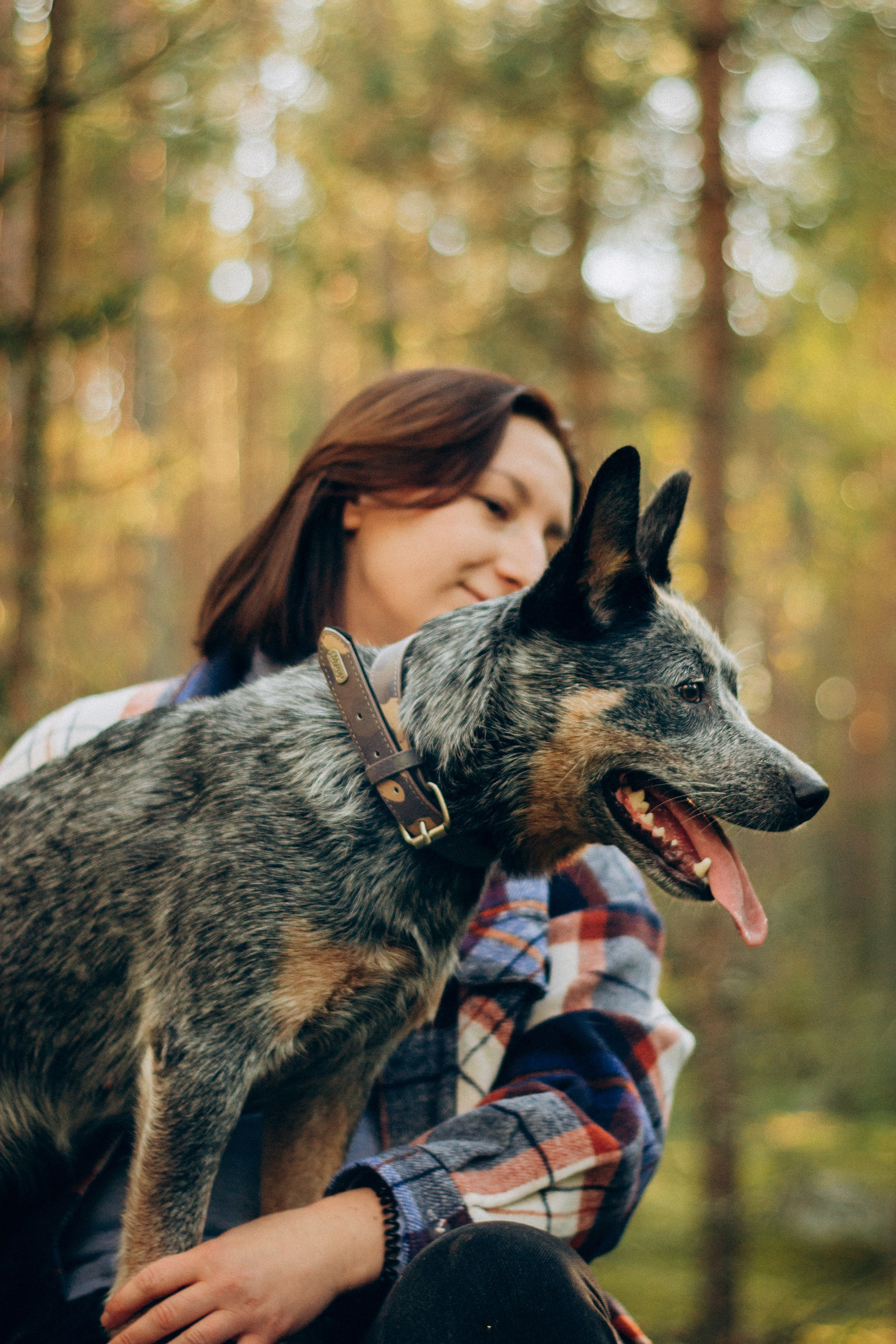 Polina and her Dakota, Blue Heeler. Kat Laisaar — Pet photographer in Tallinn