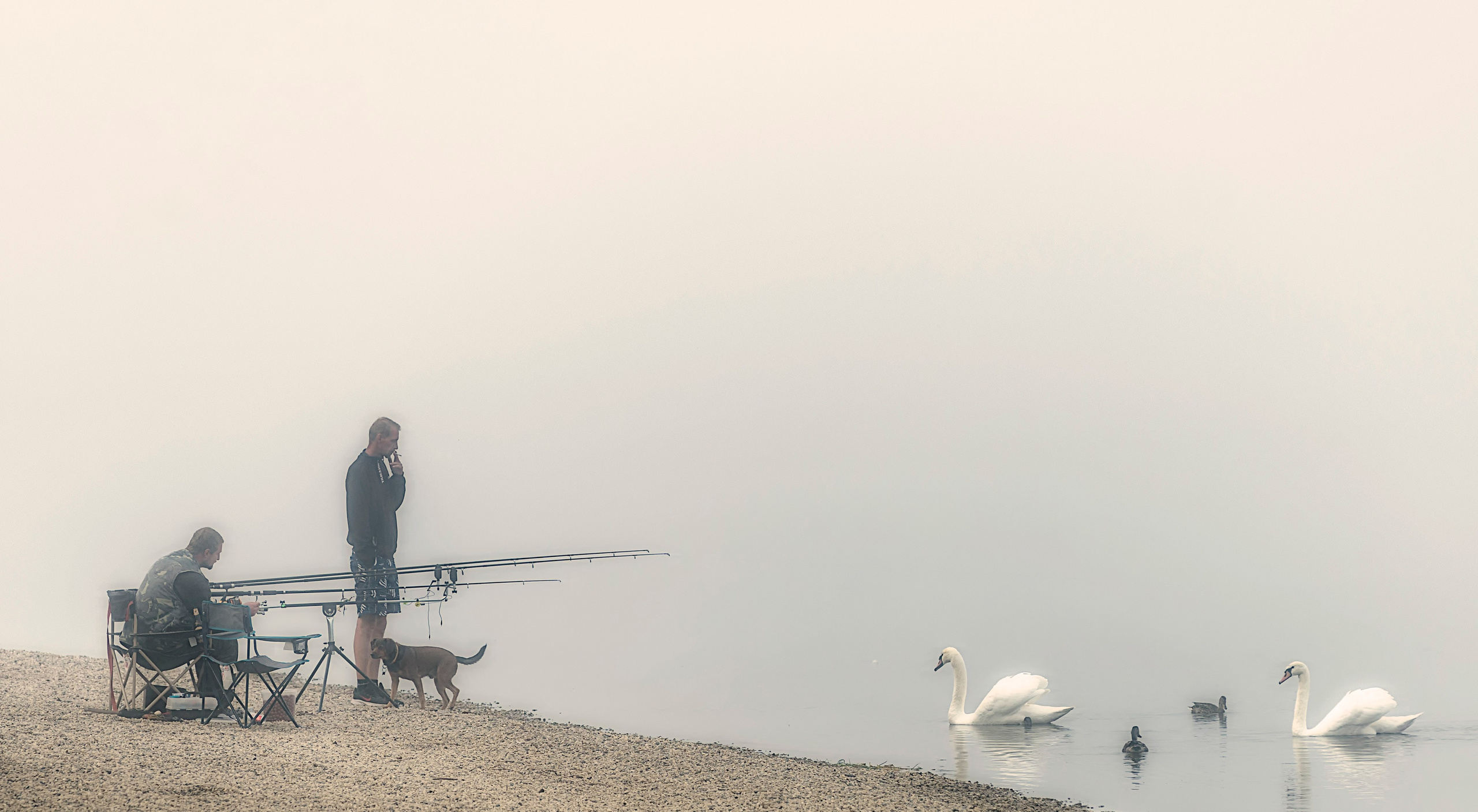 УЛИЧНЫЕ МУЗЫКАНТЫ DUSSELDORF. LUKIN IGOR Photography