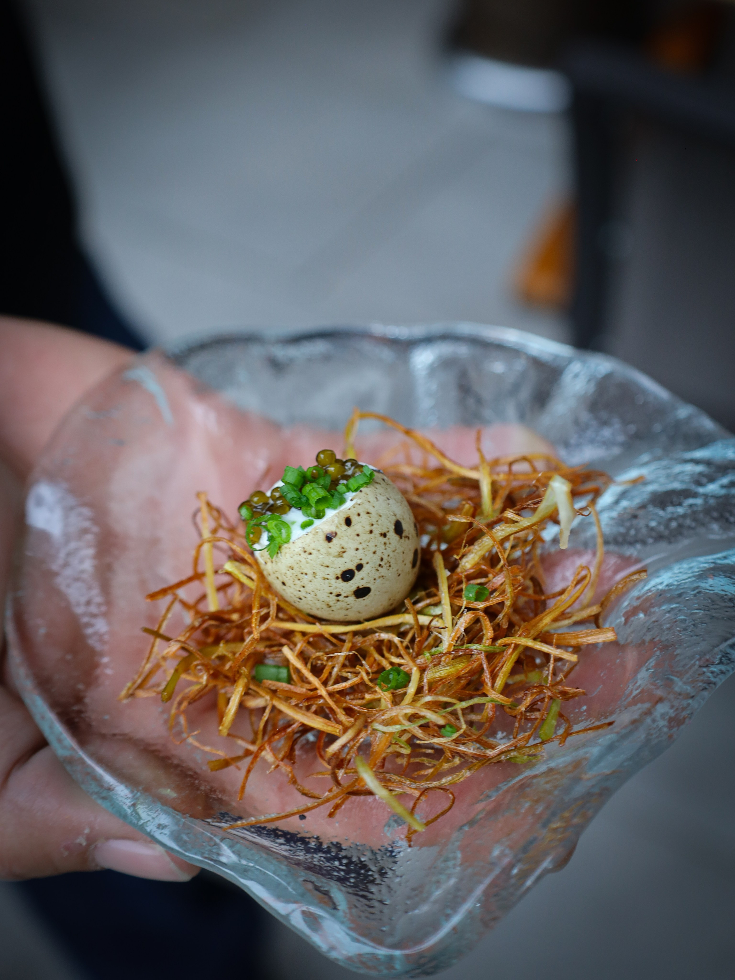 Warren Grand Opening. Out and About 239