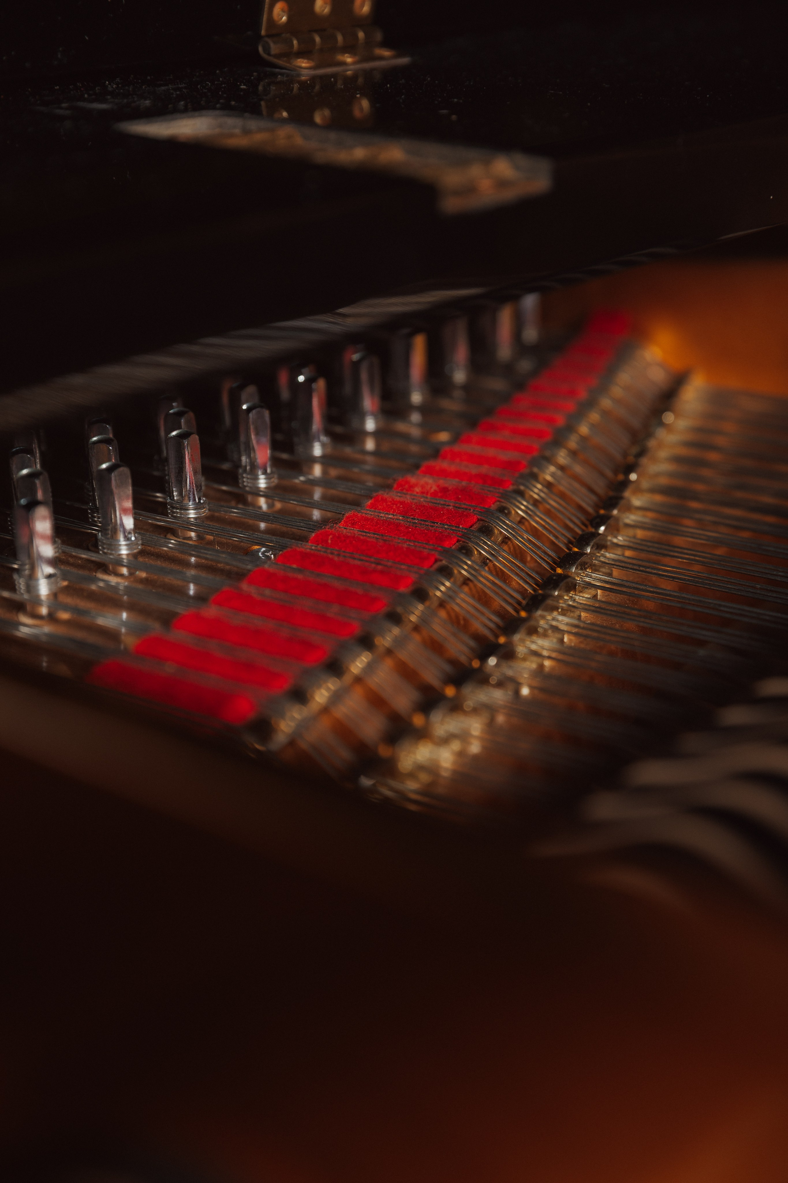 Externas. Bruno Manarin