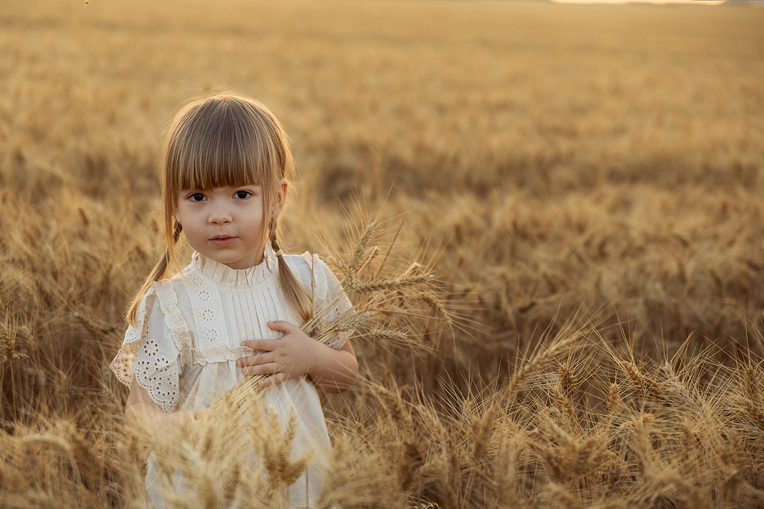Фото ребенка в поле пшеницы