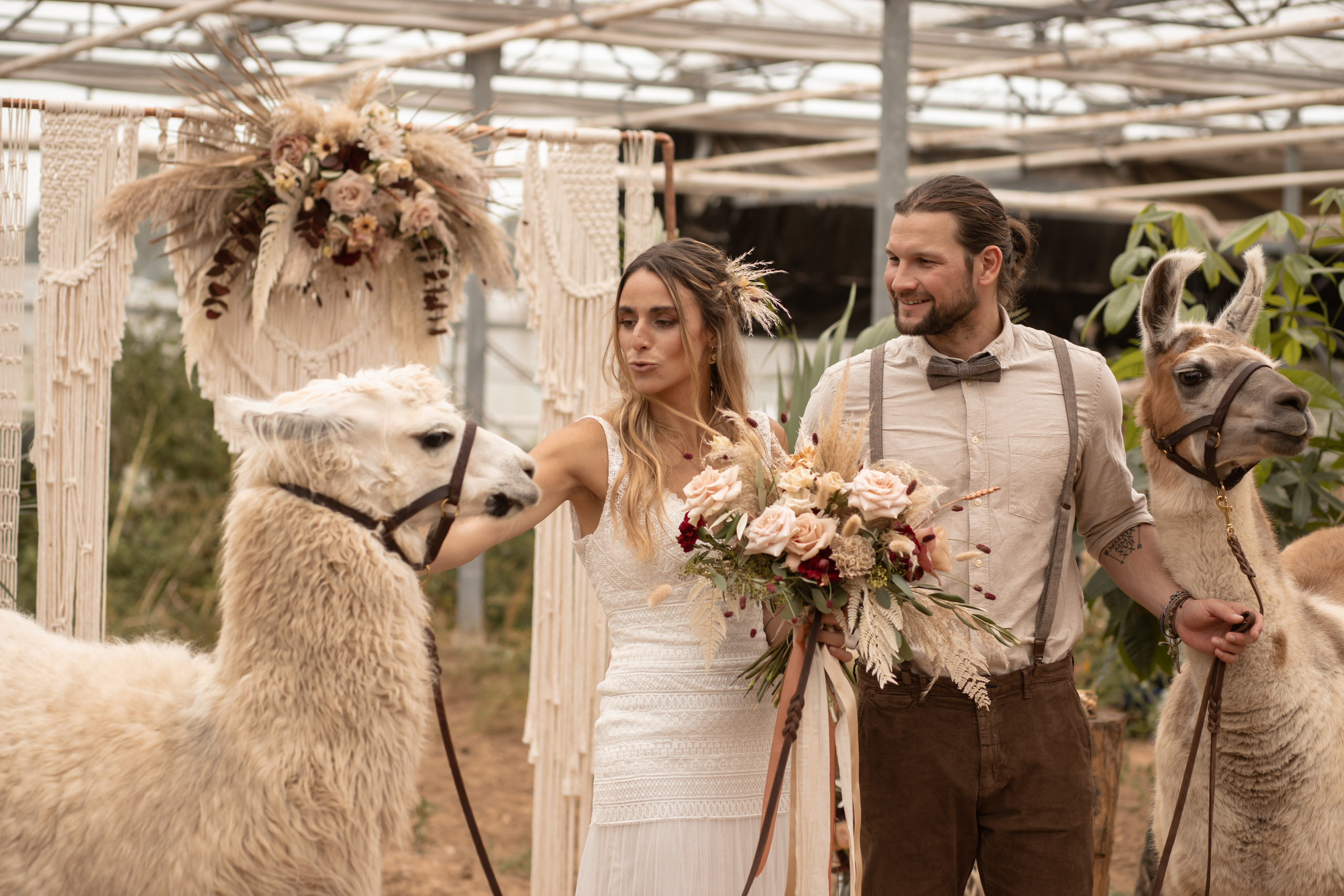 Hochzeit im Gewächshaus. Familien und Hochzeitfotograf in Molbergen, Cloppenburg, Münsterland
