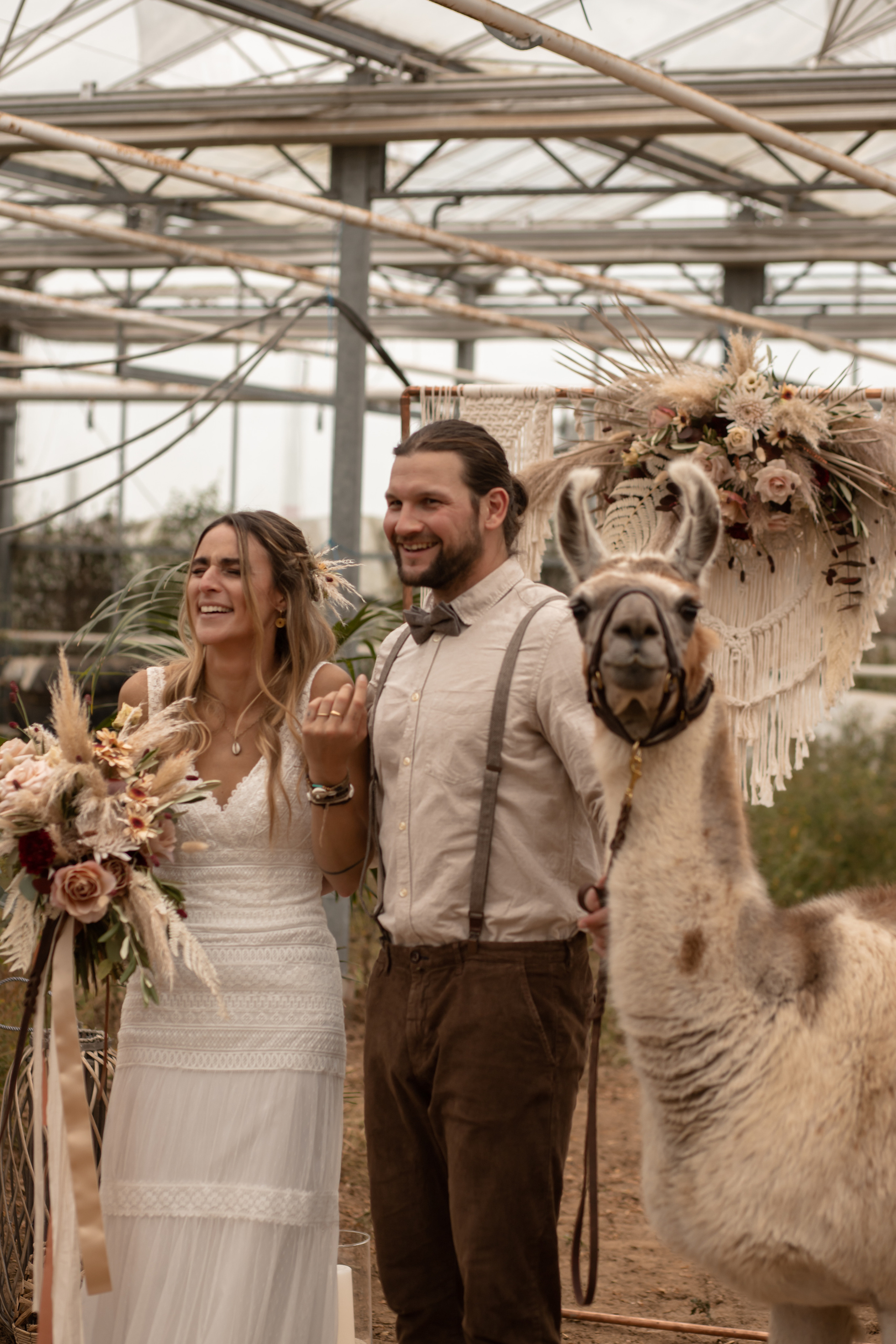 Hochzeit im Gewächshaus. Familien und Hochzeitfotograf in Molbergen, Cloppenburg, Münsterland
