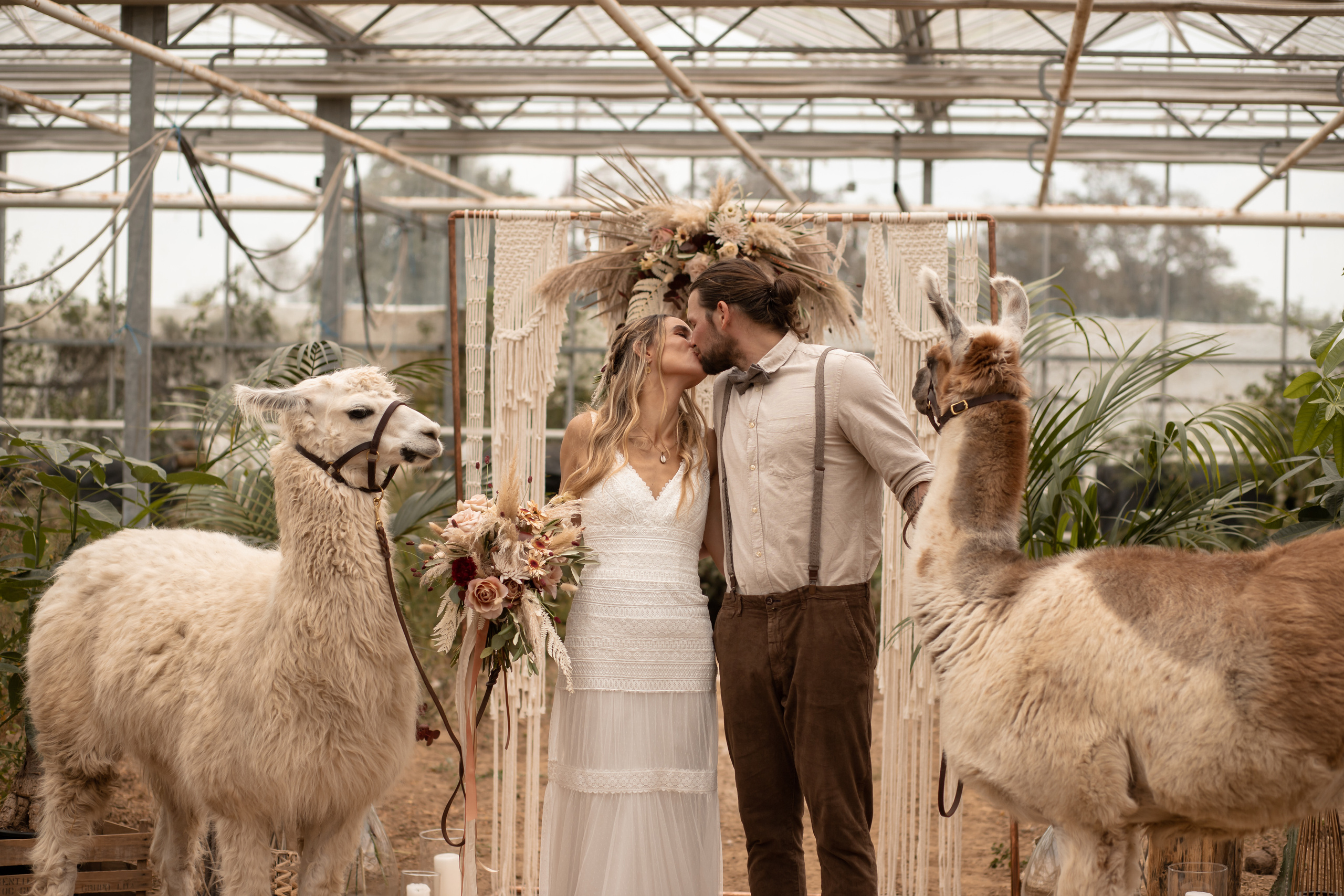 Hochzeit im Gewächshaus. Familien und Hochzeitfotograf in Molbergen, Cloppenburg, Münsterland