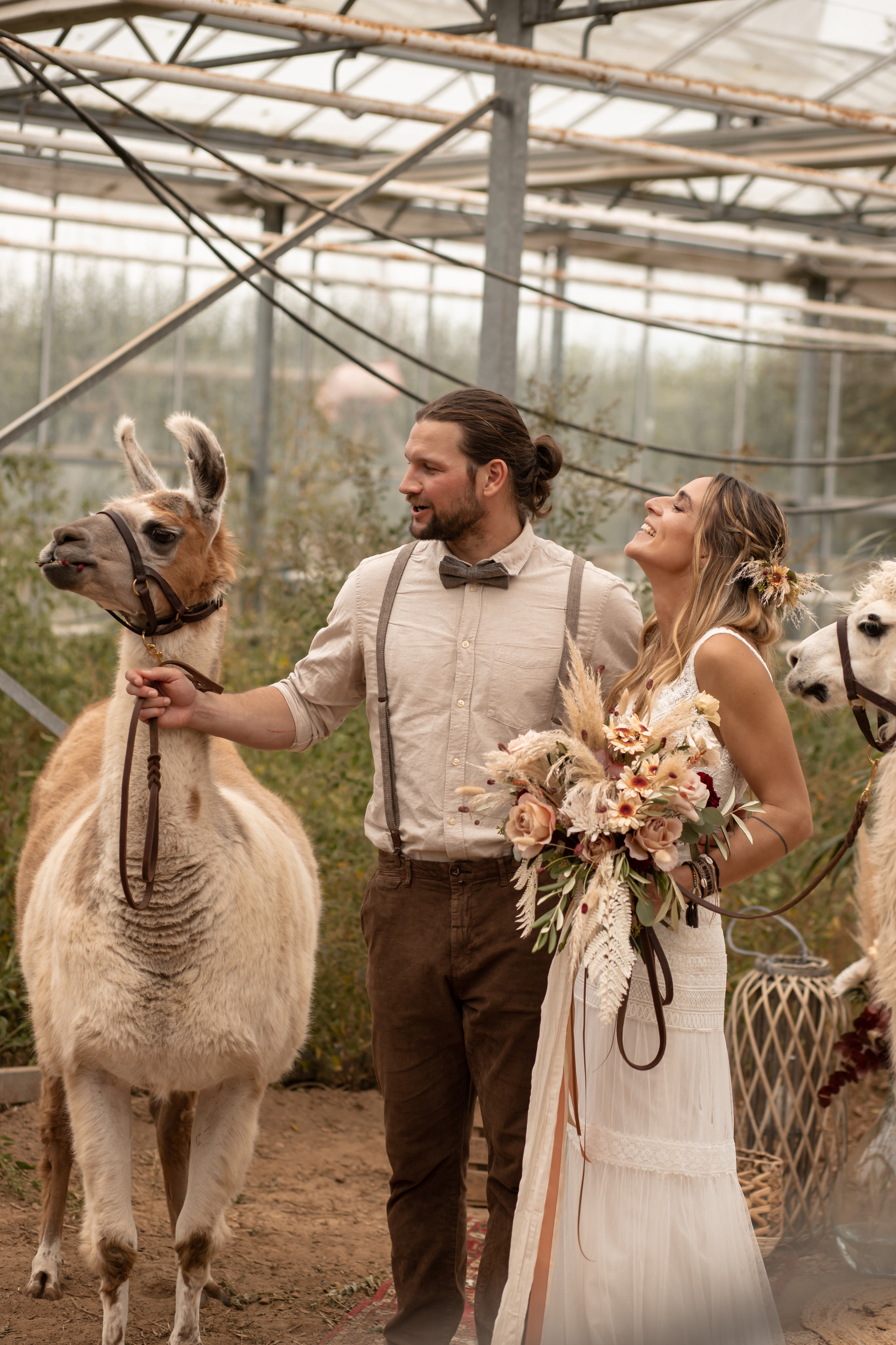 Hochzeit im Gewächshaus. Familien und Hochzeitfotograf in Molbergen, Cloppenburg, Münsterland