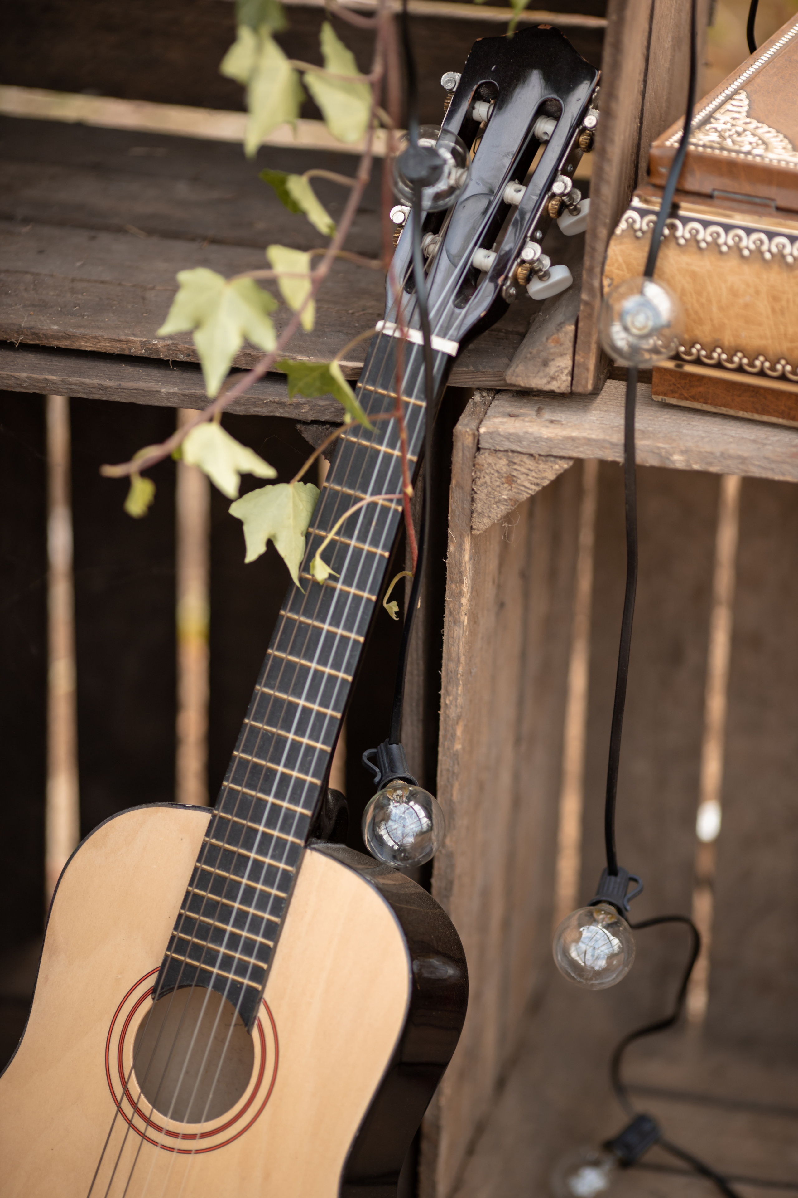 Hochzeit im Gewächshaus. Familien und Hochzeitfotograf in Molbergen, Cloppenburg, Münsterland