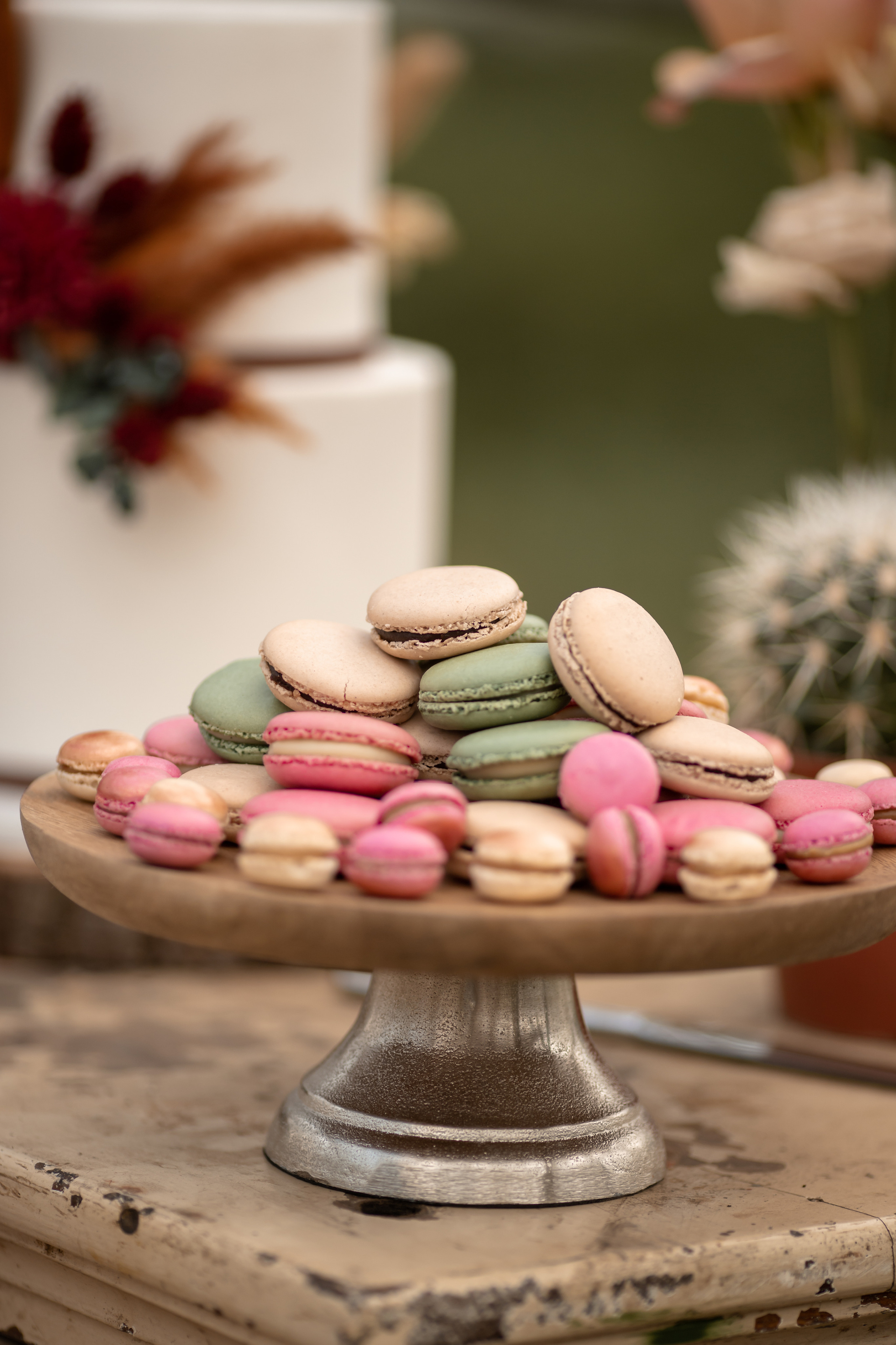 Hochzeit im Gewächshaus. Familien und Hochzeitfotograf in Molbergen, Cloppenburg, Münsterland