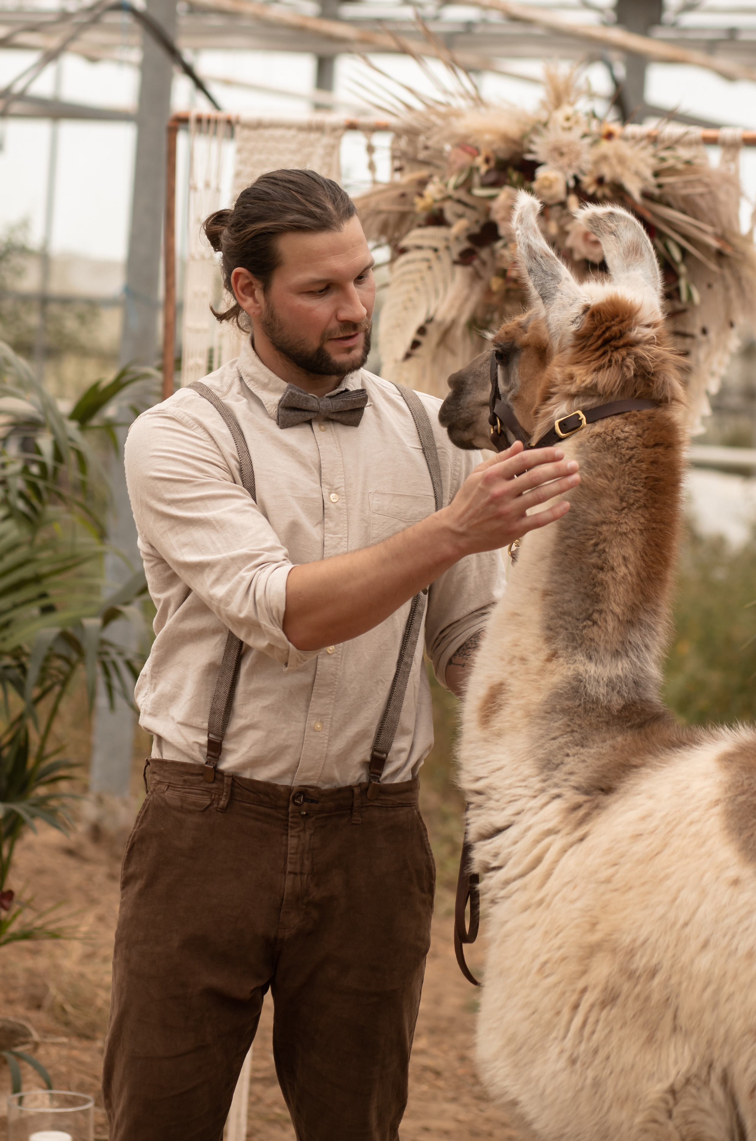 Hochzeit im Gewächshaus. Familien und Hochzeitfotograf in Molbergen, Cloppenburg, Münsterland