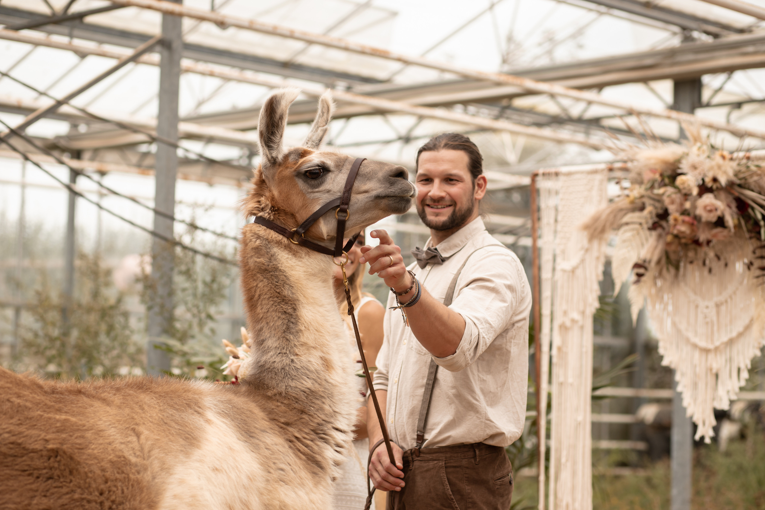 Hochzeit im Gewächshaus. Familien und Hochzeitfotograf in Molbergen, Cloppenburg, Münsterland