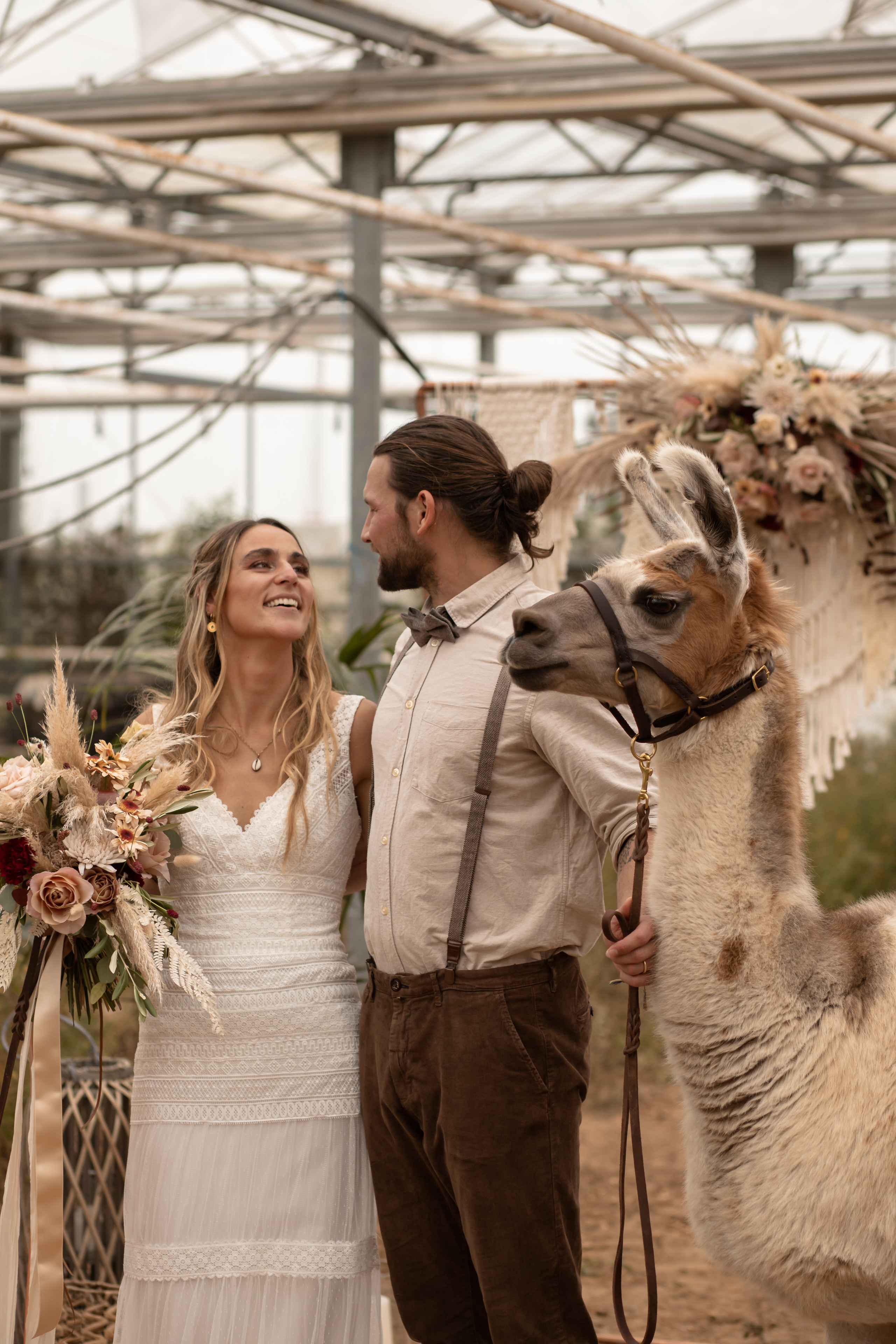 Hochzeit im Gewächshaus. Familien und Hochzeitfotograf in Molbergen, Cloppenburg, Münsterland