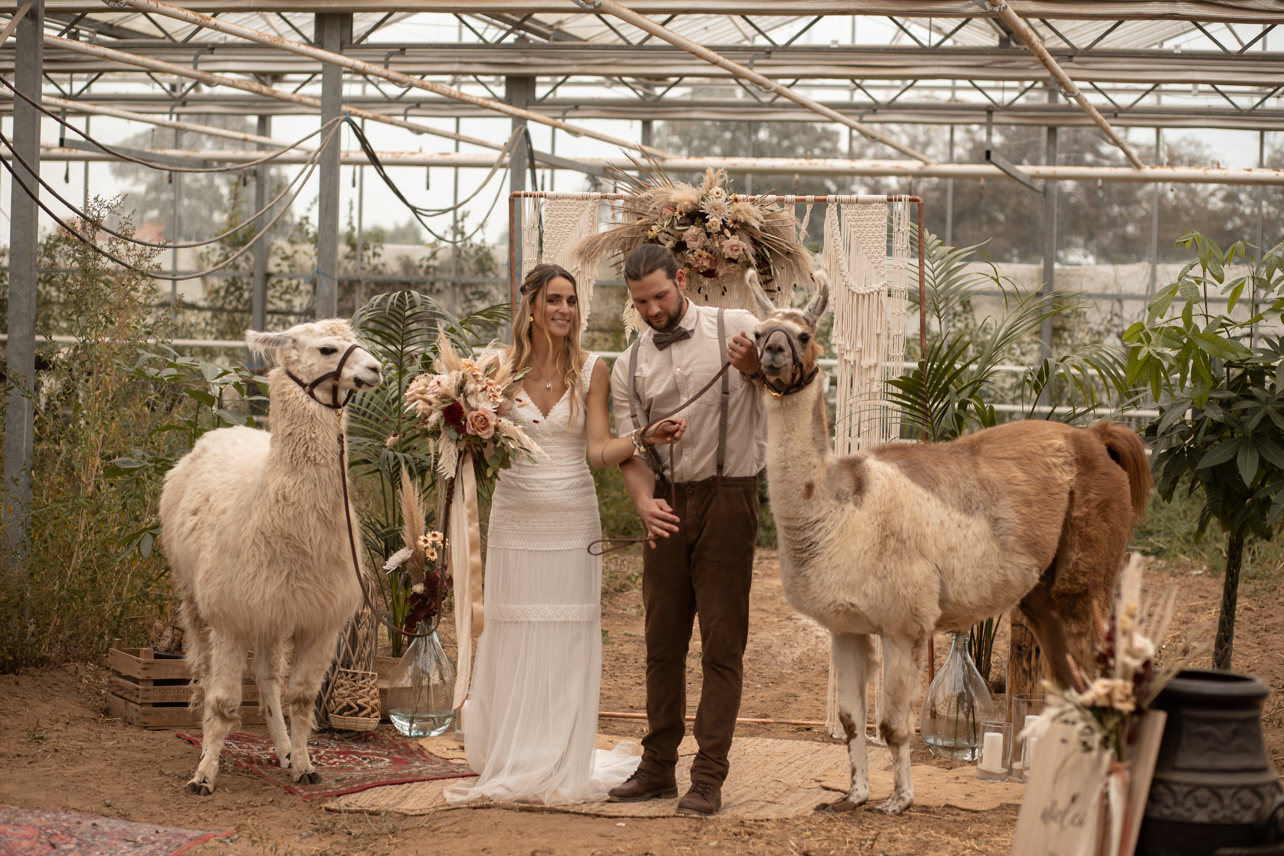 Hochzeit im Gewächshaus. Familien und Hochzeitfotograf in Molbergen, Cloppenburg, Münsterland
