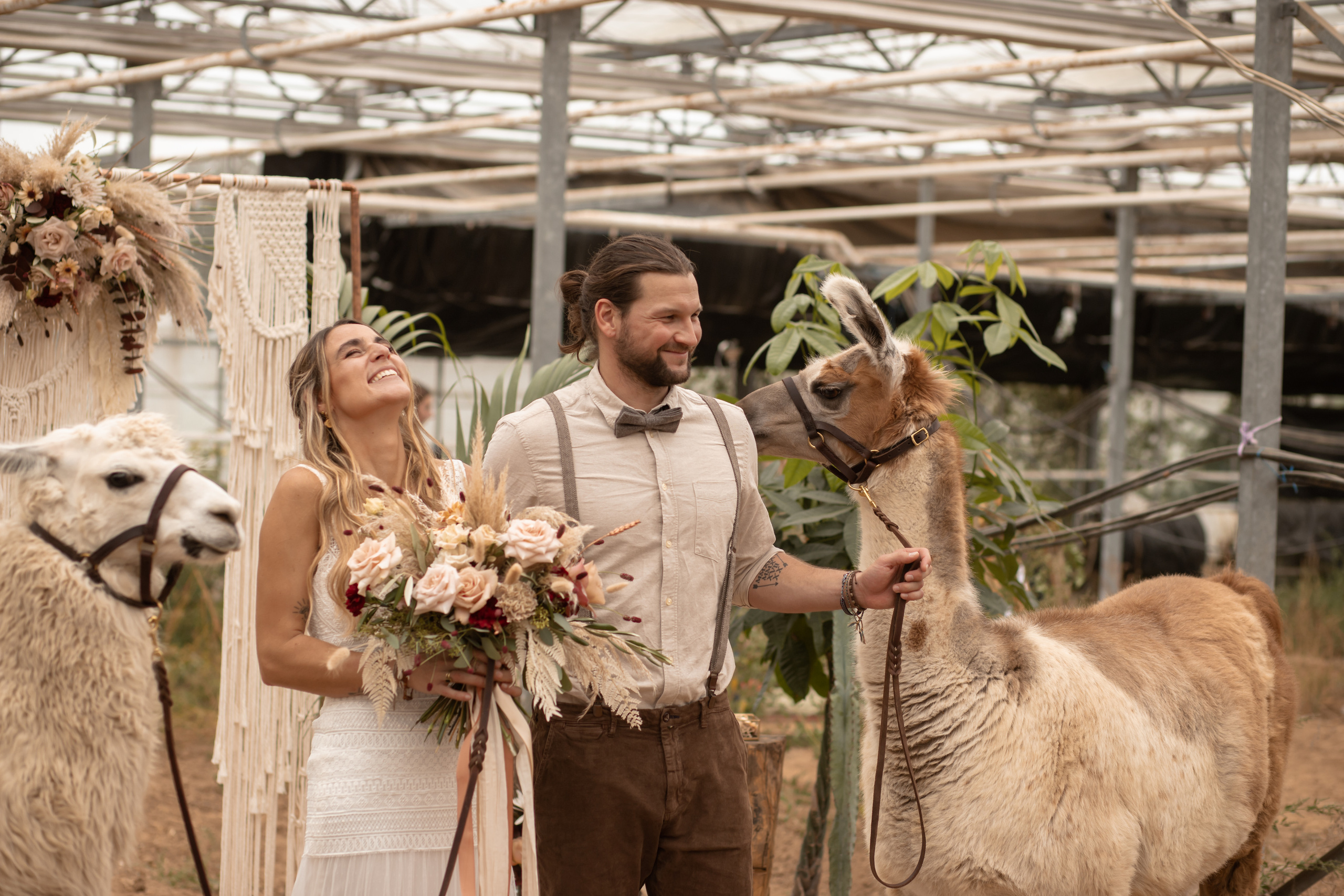 Hochzeit im Gewächshaus. Familien und Hochzeitfotograf in Molbergen, Cloppenburg, Münsterland
