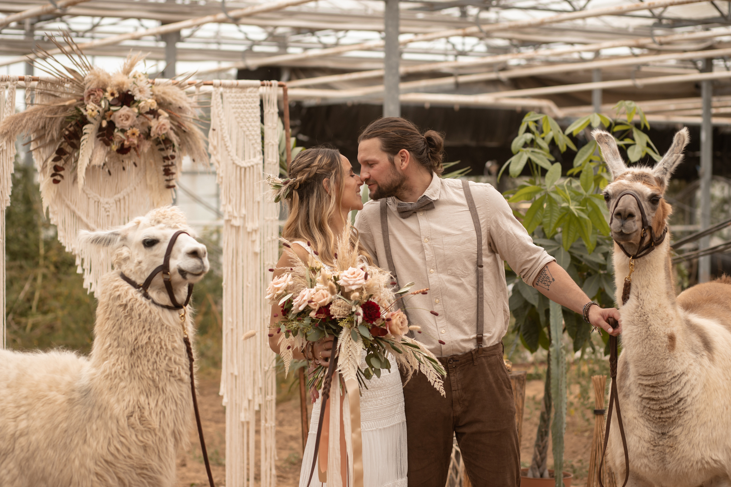 Hochzeit im Gewächshaus. Familien und Hochzeitfotograf in Molbergen, Cloppenburg, Münsterland