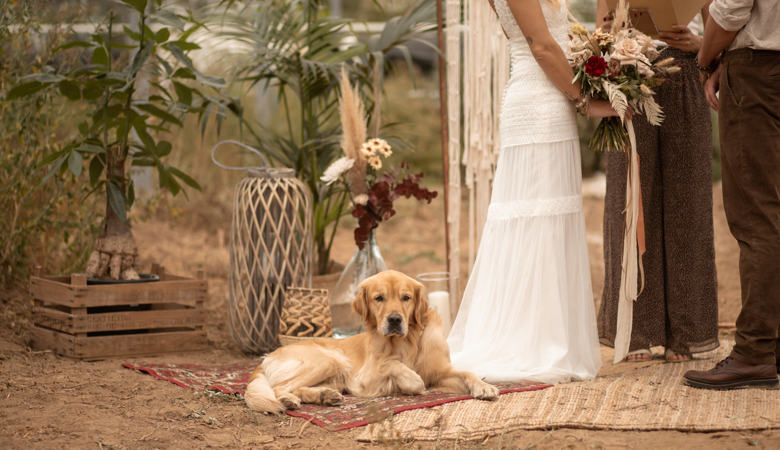 Hochzeit im Gewächshaus. Familien und Hochzeitfotograf in Molbergen, Cloppenburg, Münsterland