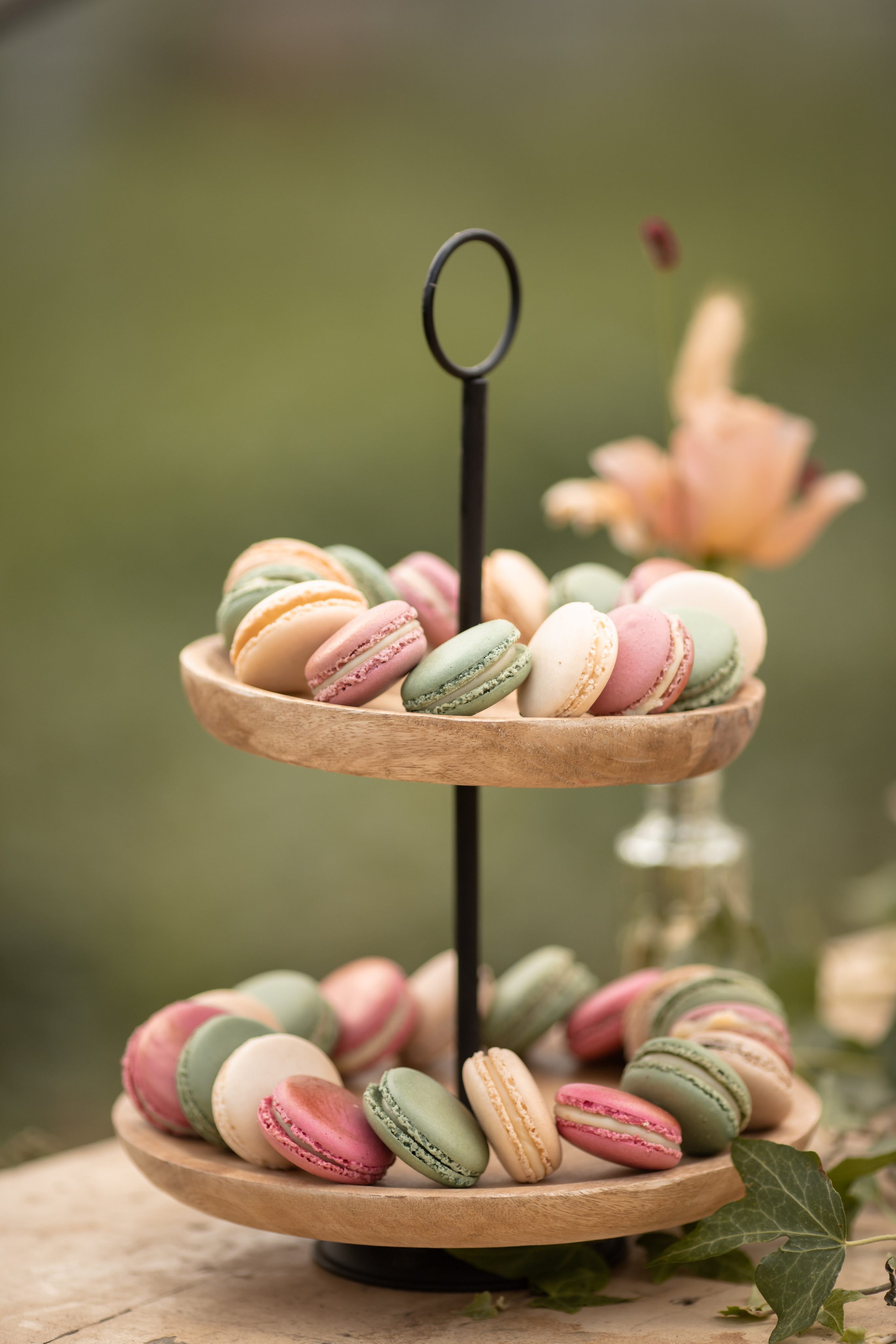 Hochzeit im Gewächshaus. Familien und Hochzeitfotograf in Molbergen, Cloppenburg, Münsterland