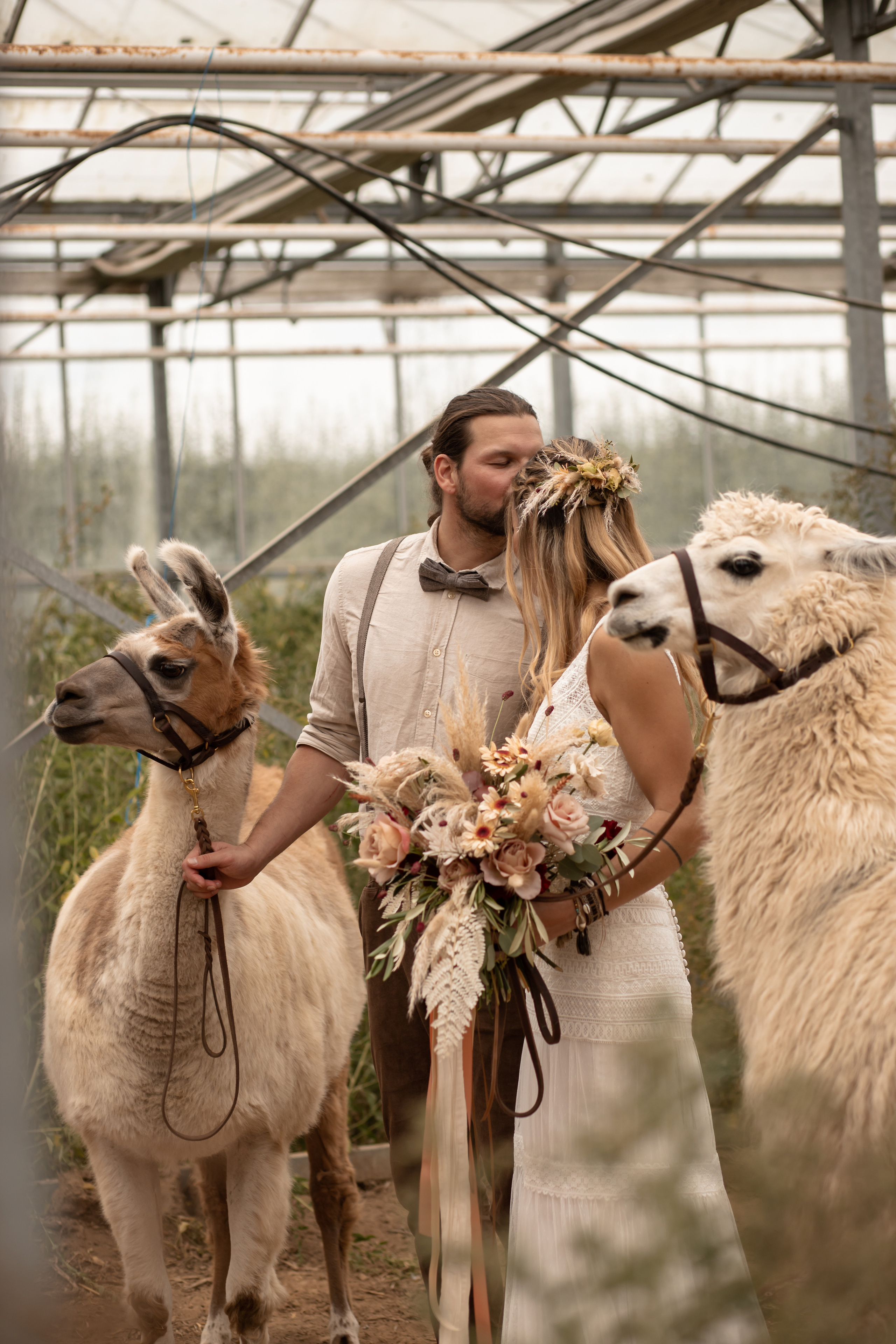 Hochzeit im Gewächshaus. Familien und Hochzeitfotograf in Molbergen, Cloppenburg, Münsterland