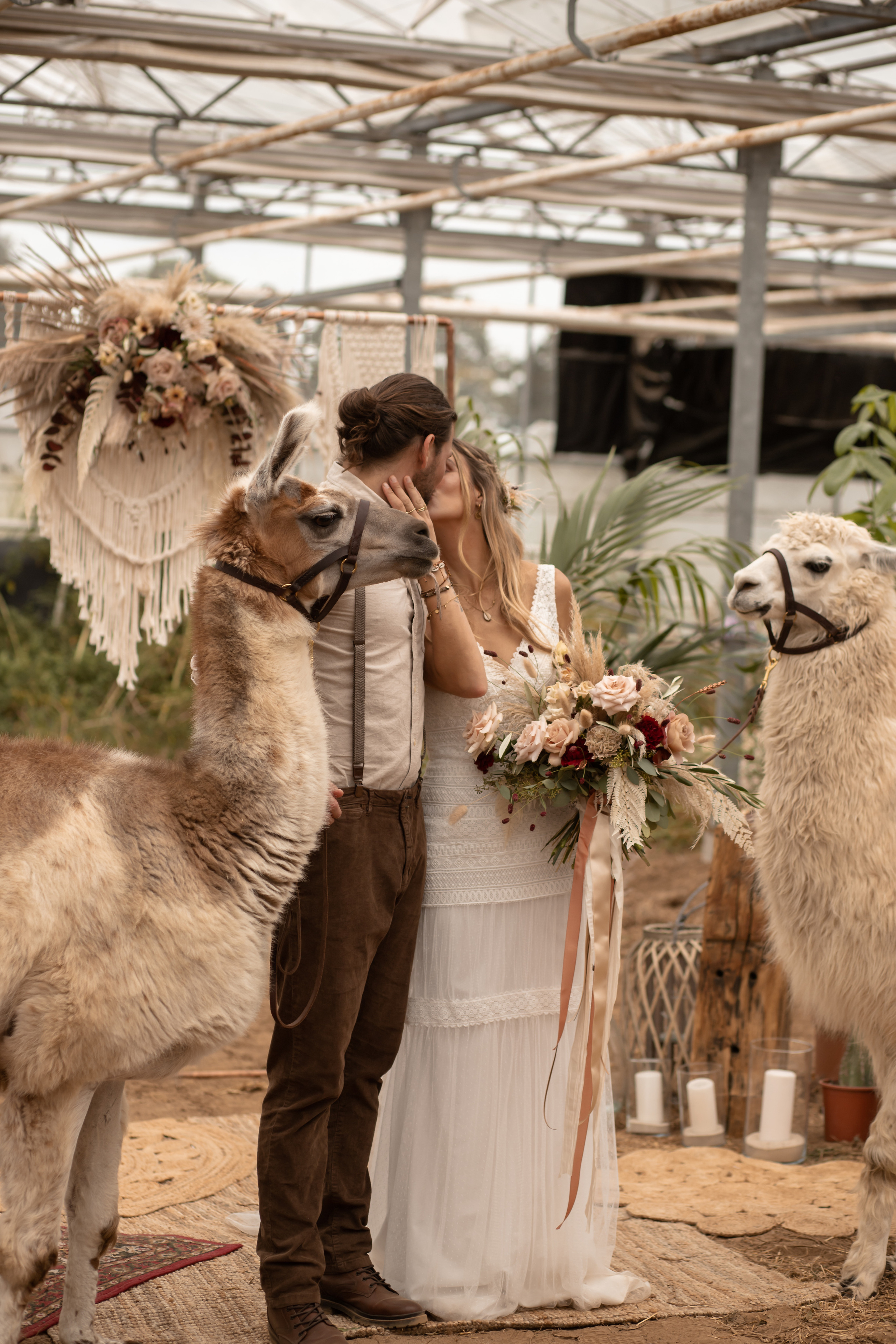 Hochzeit im Gewächshaus. Familien und Hochzeitfotograf in Molbergen, Cloppenburg, Münsterland