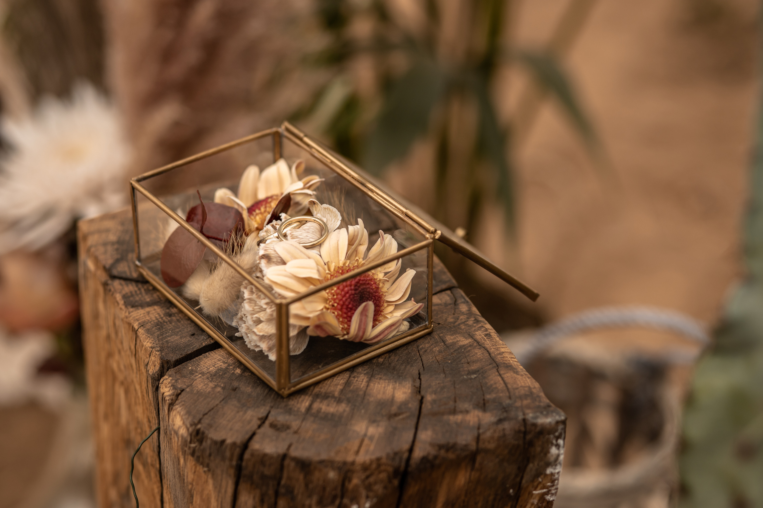 Hochzeit im Gewächshaus. Familien und Hochzeitfotograf in Molbergen, Cloppenburg, Münsterland