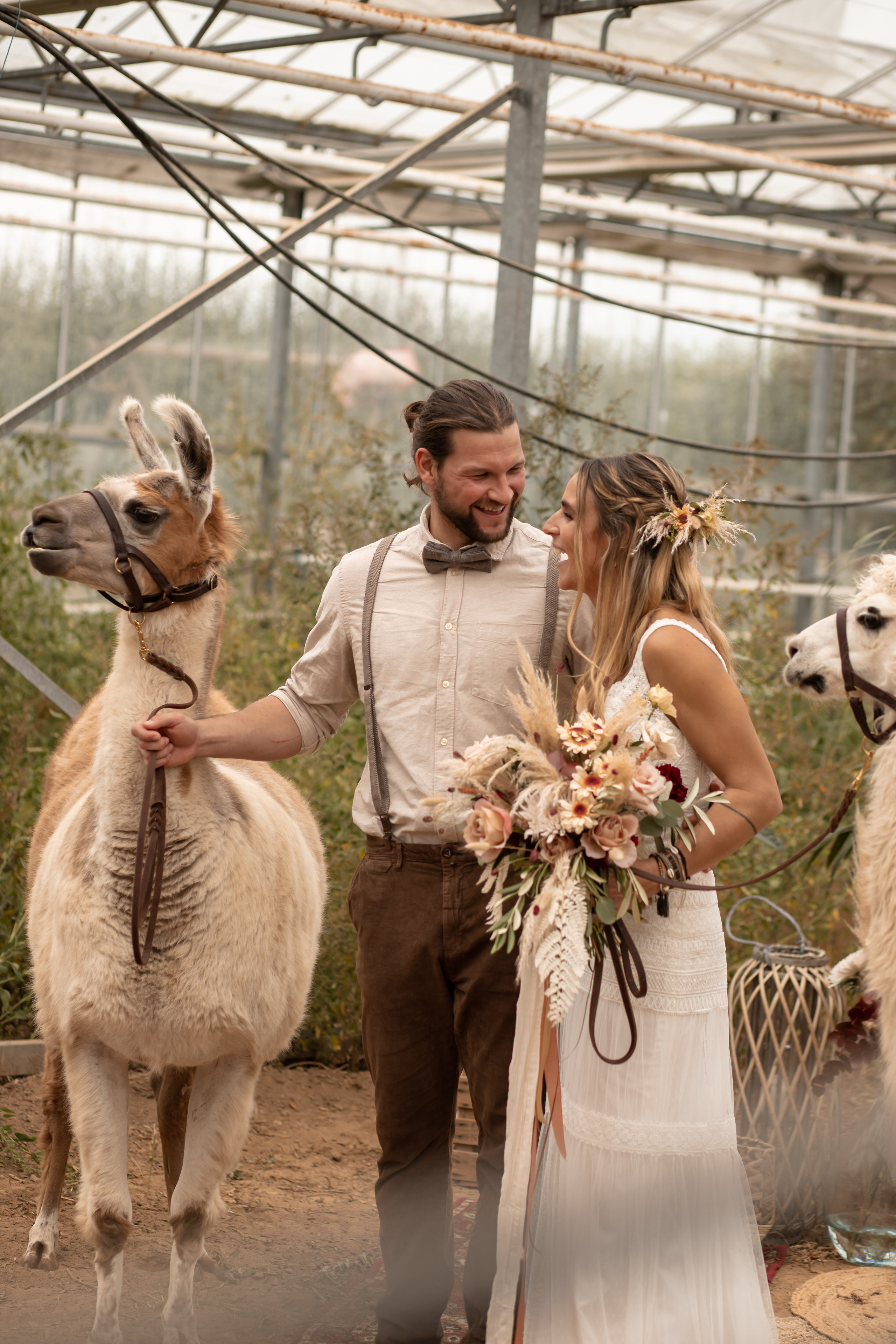Hochzeit im Gewächshaus. Familien und Hochzeitfotograf in Molbergen, Cloppenburg, Münsterland