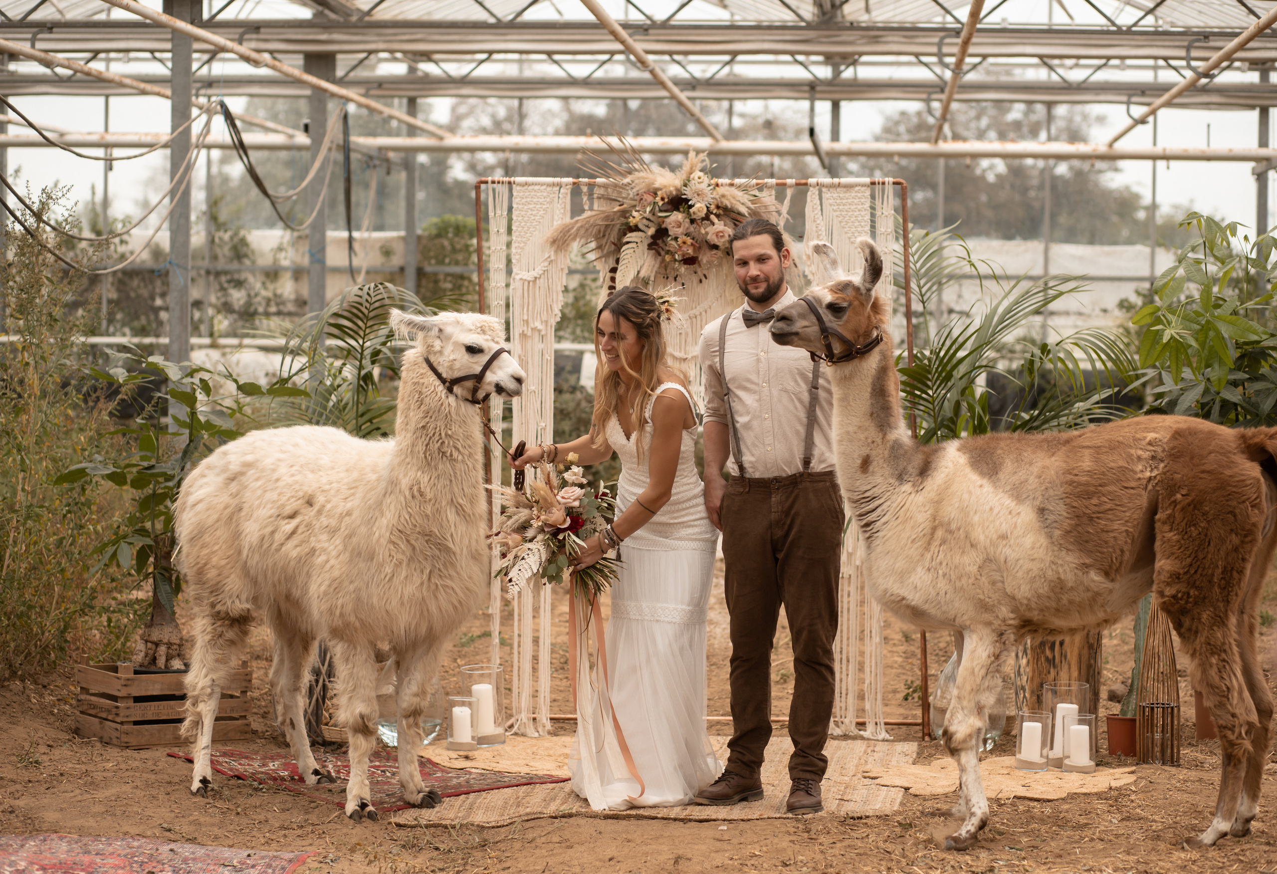 Hochzeit im Gewächshaus. Familien und Hochzeitfotograf in Molbergen, Cloppenburg, Münsterland