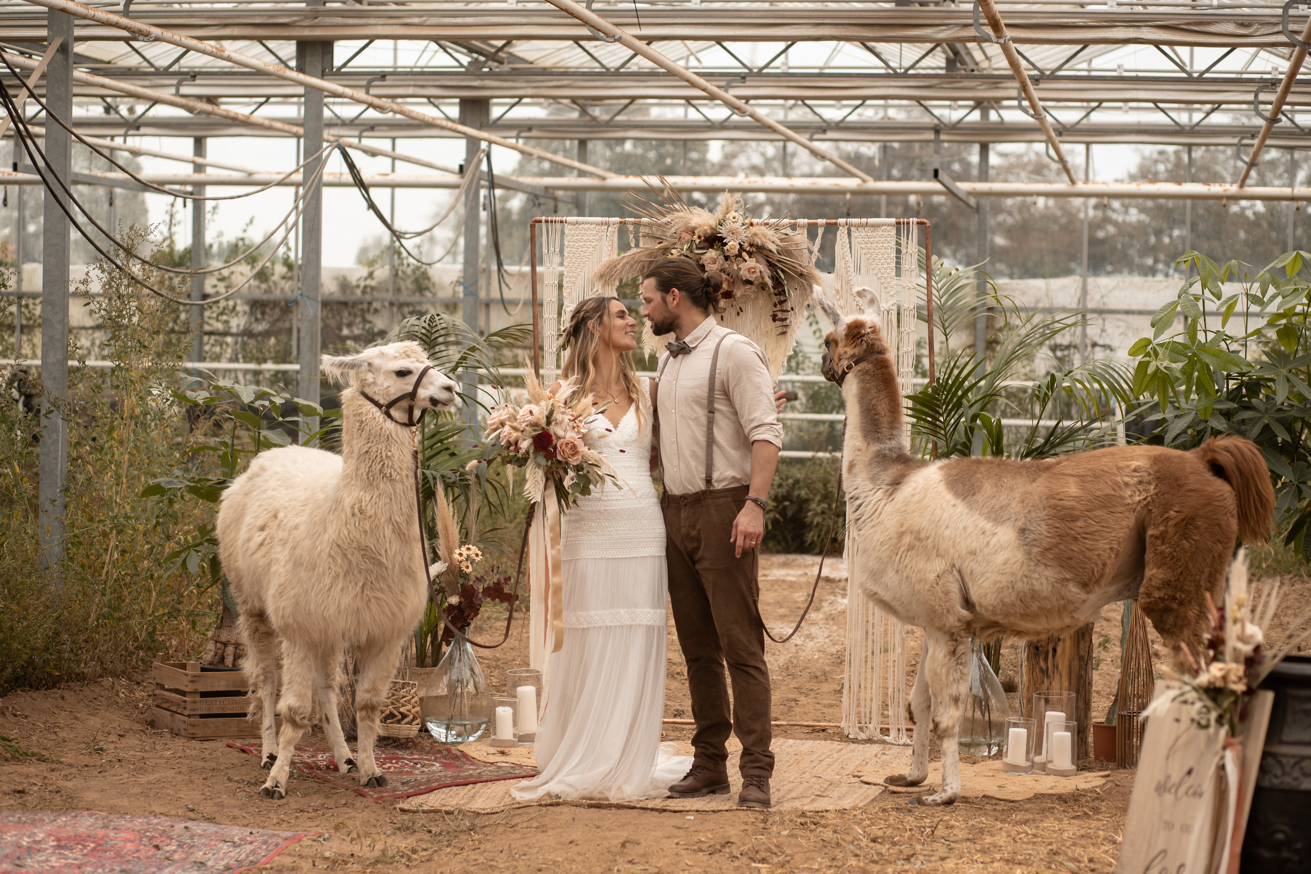 Hochzeit im Gewächshaus. Familien und Hochzeitfotograf in Molbergen, Cloppenburg, Münsterland