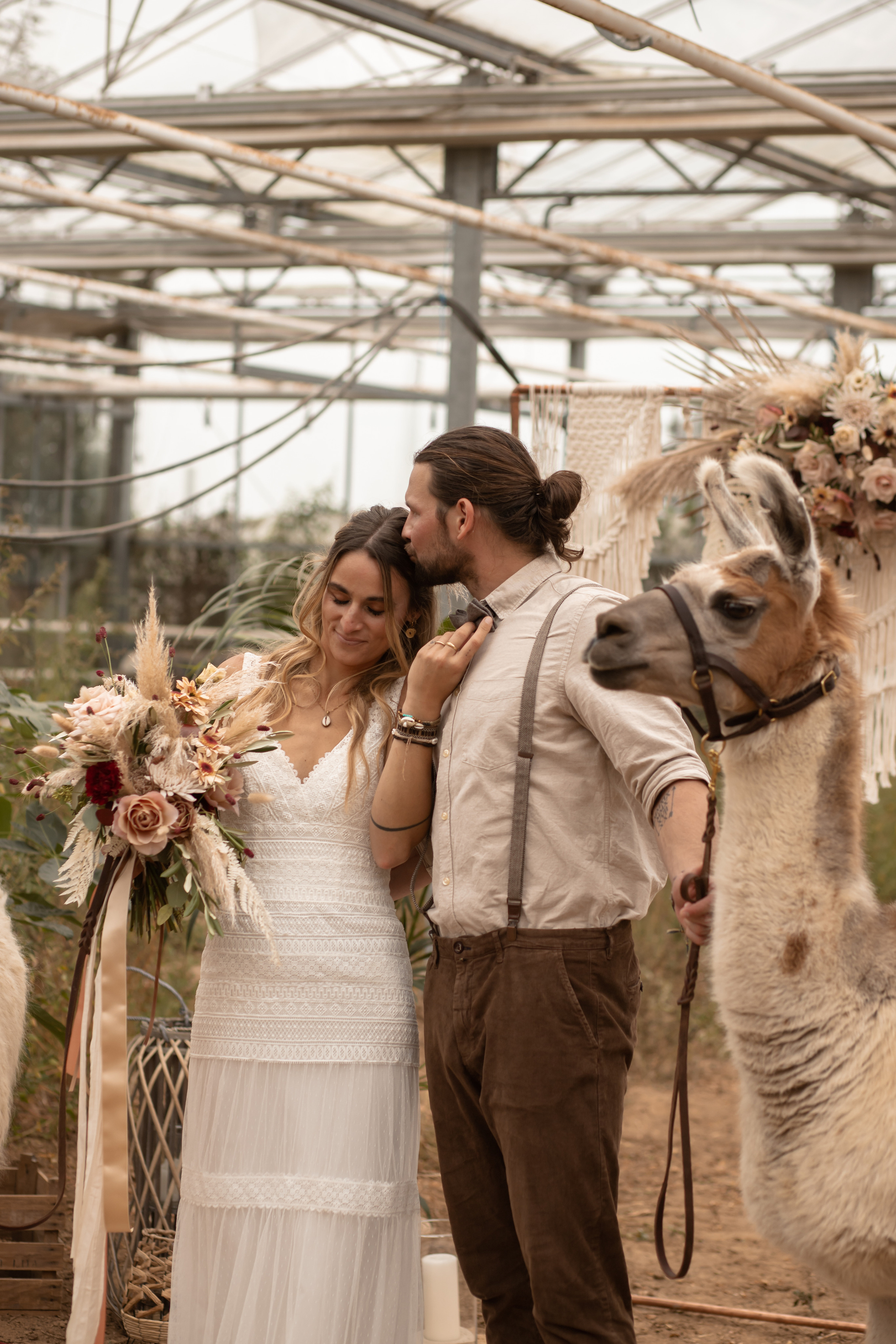 Hochzeit im Gewächshaus. Familien und Hochzeitfotograf in Molbergen, Cloppenburg, Münsterland