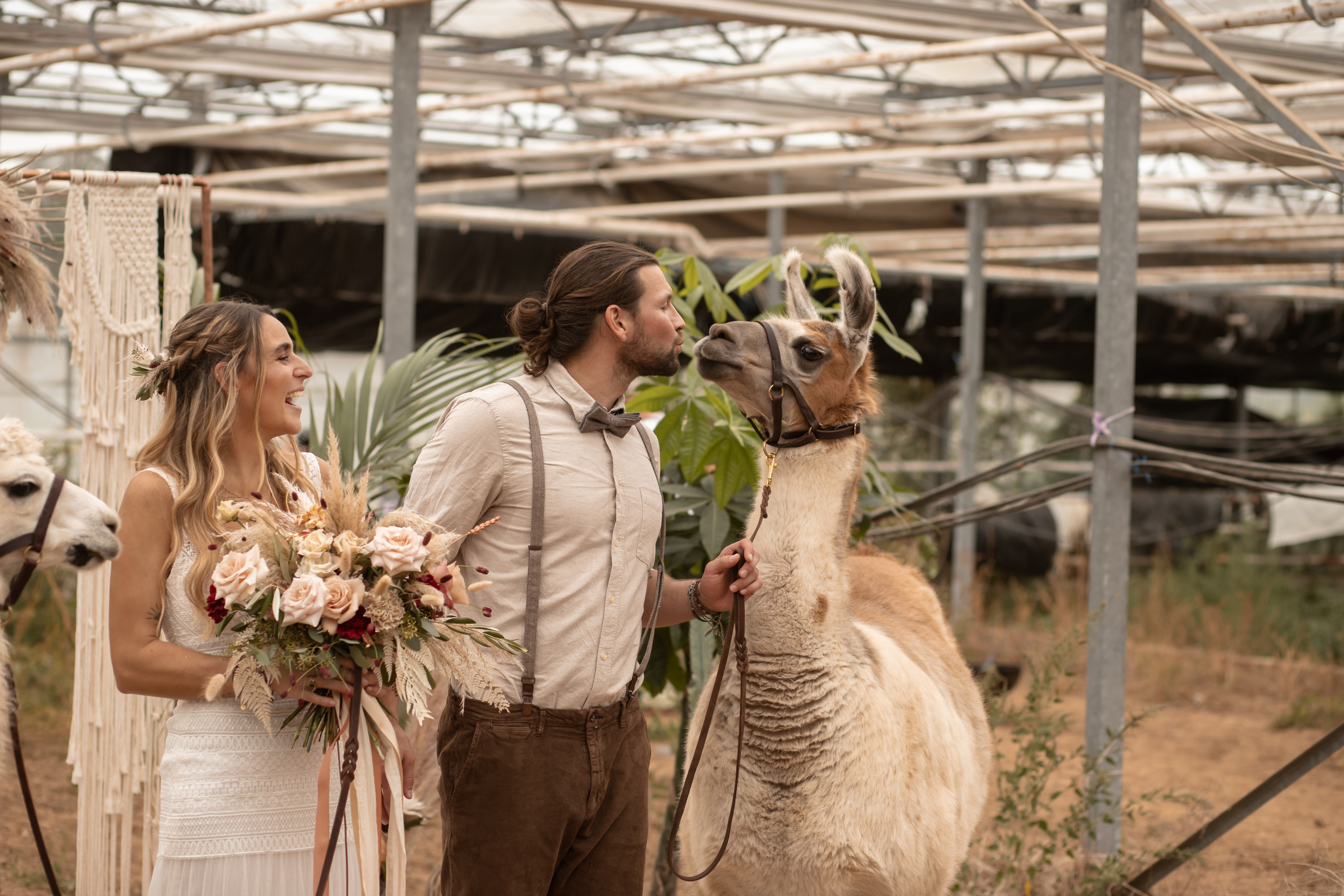 Hochzeit im Gewächshaus. Familien und Hochzeitfotograf in Molbergen, Cloppenburg, Münsterland