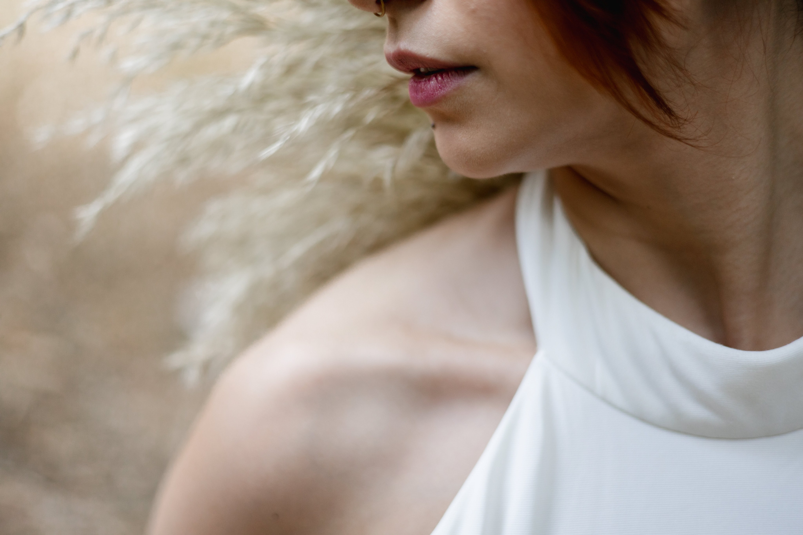 Editorial Dom Brunello