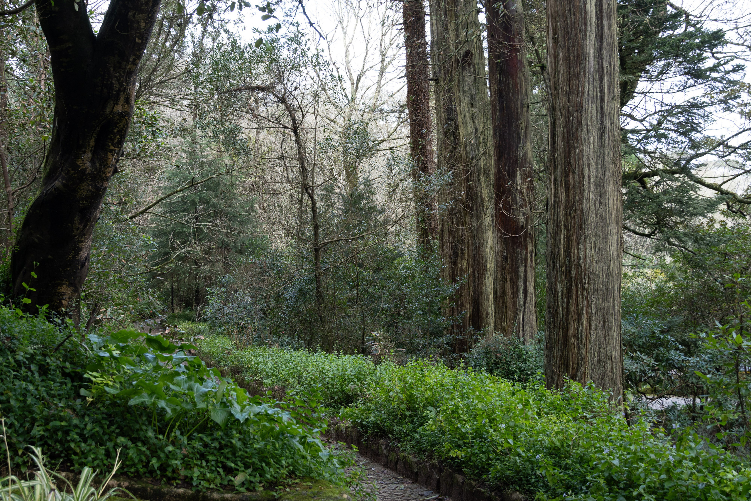 Lisabona 2025. Fotografiideplacere.net