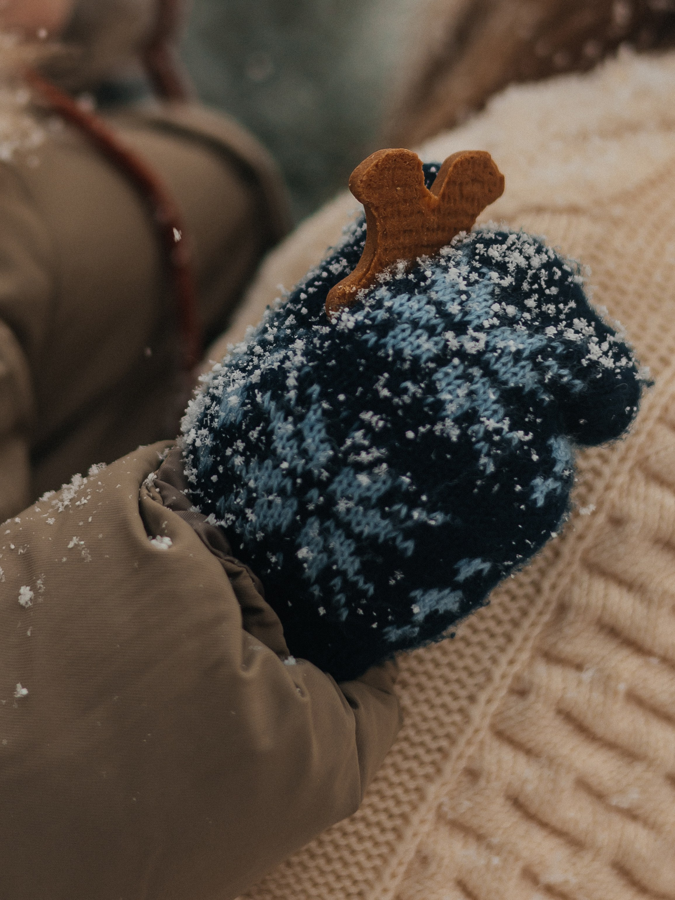 Антонина и Эдгар. Семейный фотограф в Таллинне Дарья Кивимейстер