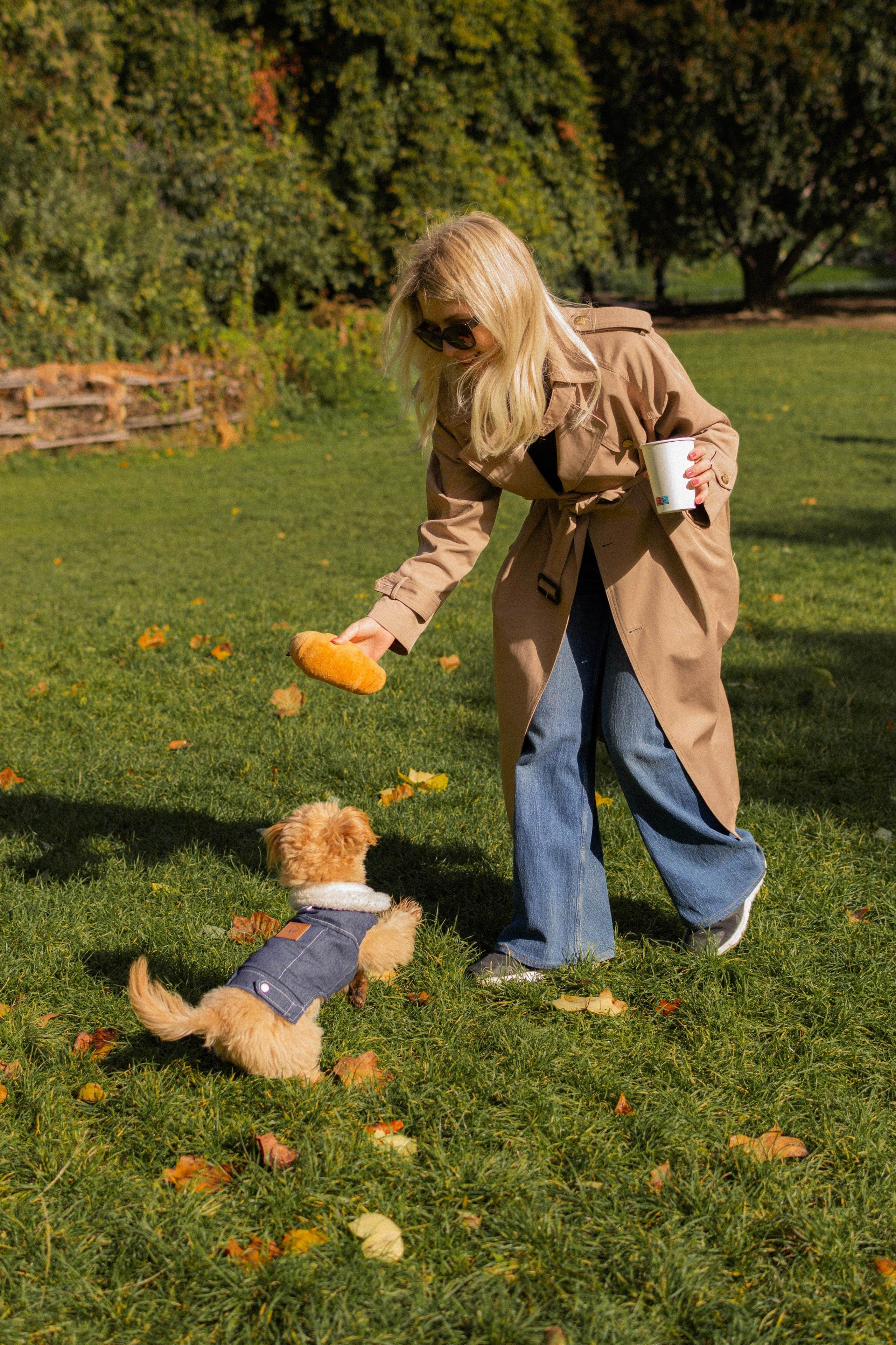 Barney, Nastya et Kolya. Photographe animalier à Paris Anna Pereira
