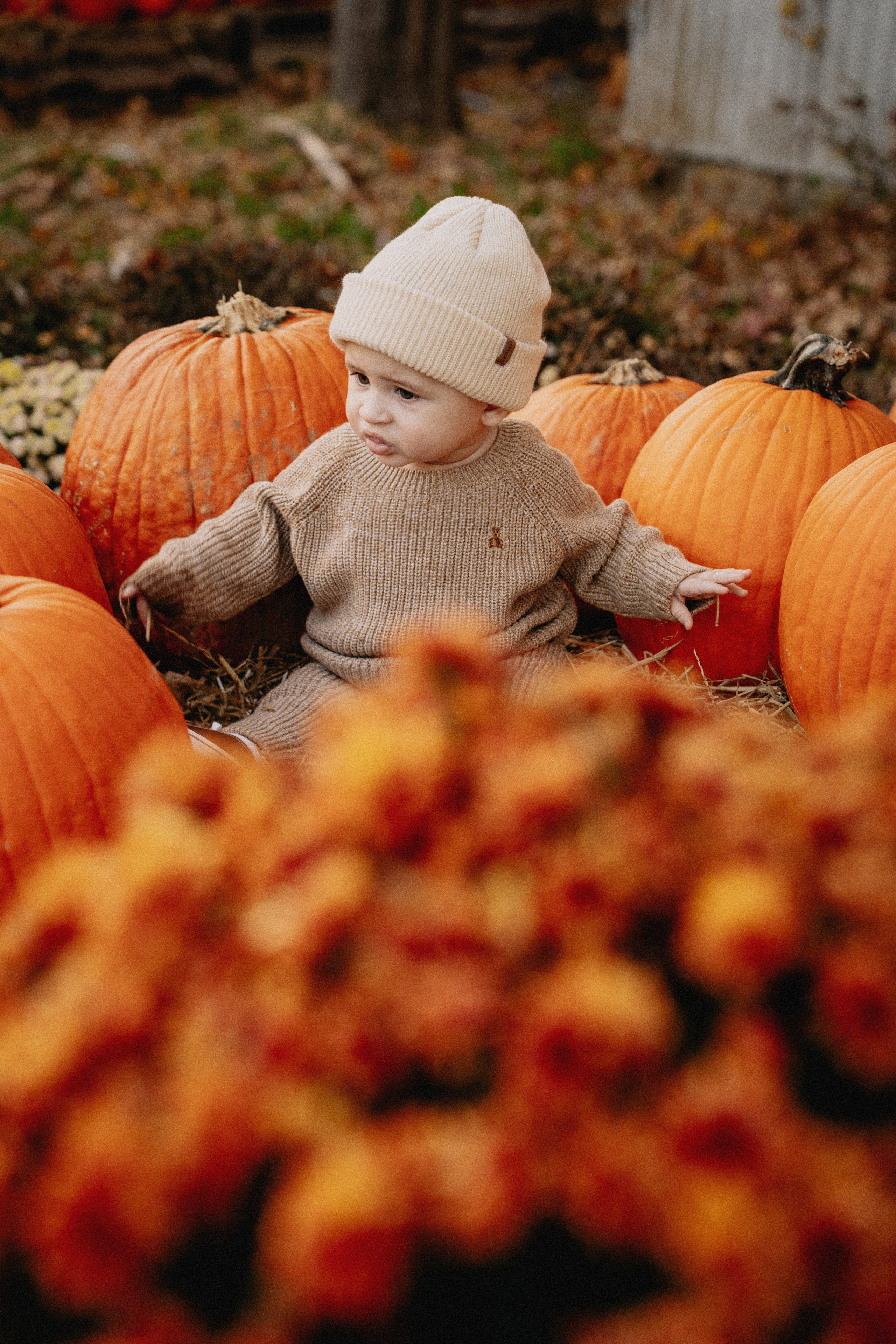 Caroline, Nazar, Leonardo. Outdoor. Wedding and family photographer and videographer PA, NJ, NY, DE, MD