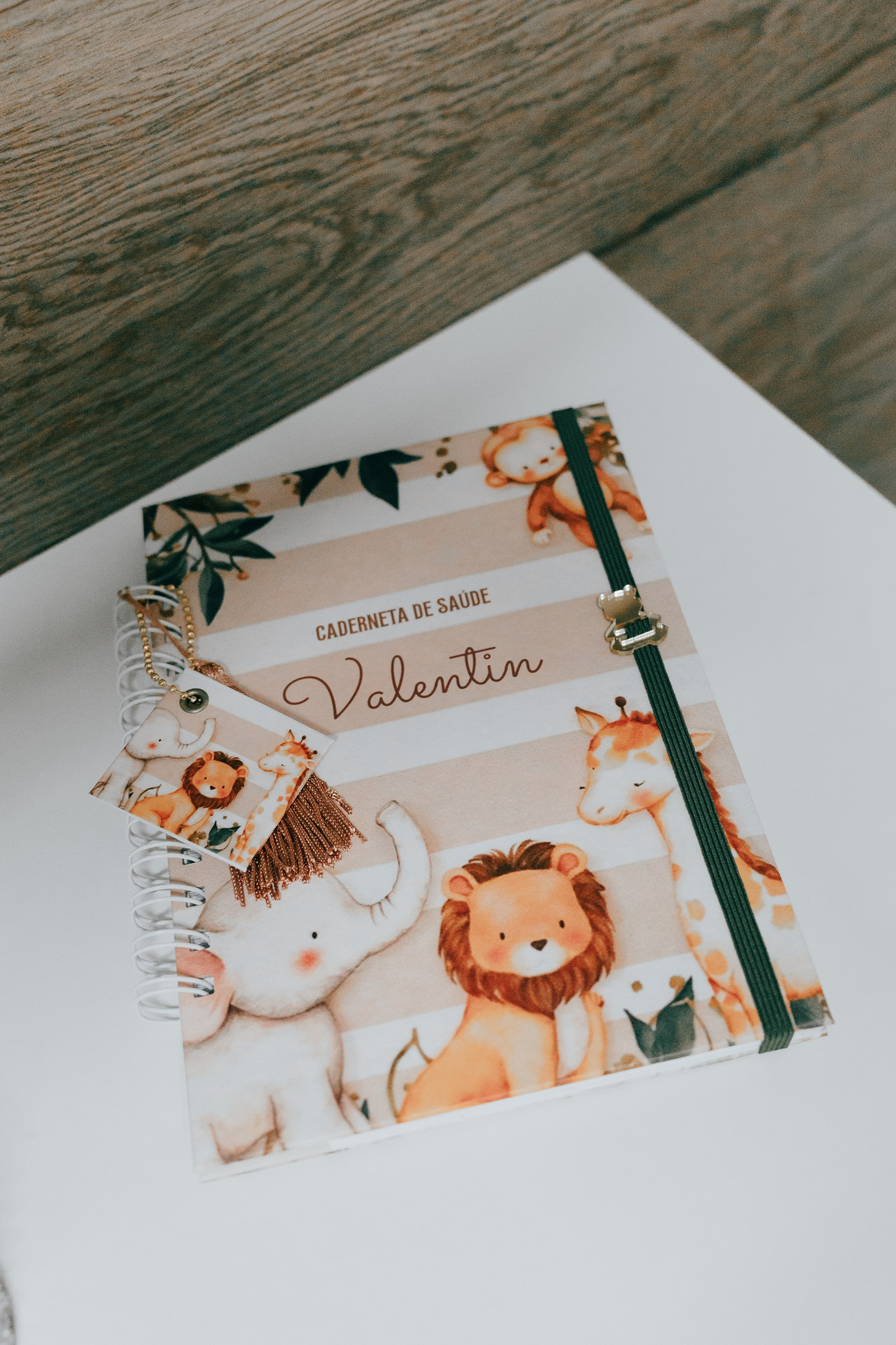 Nascimento de Vicente