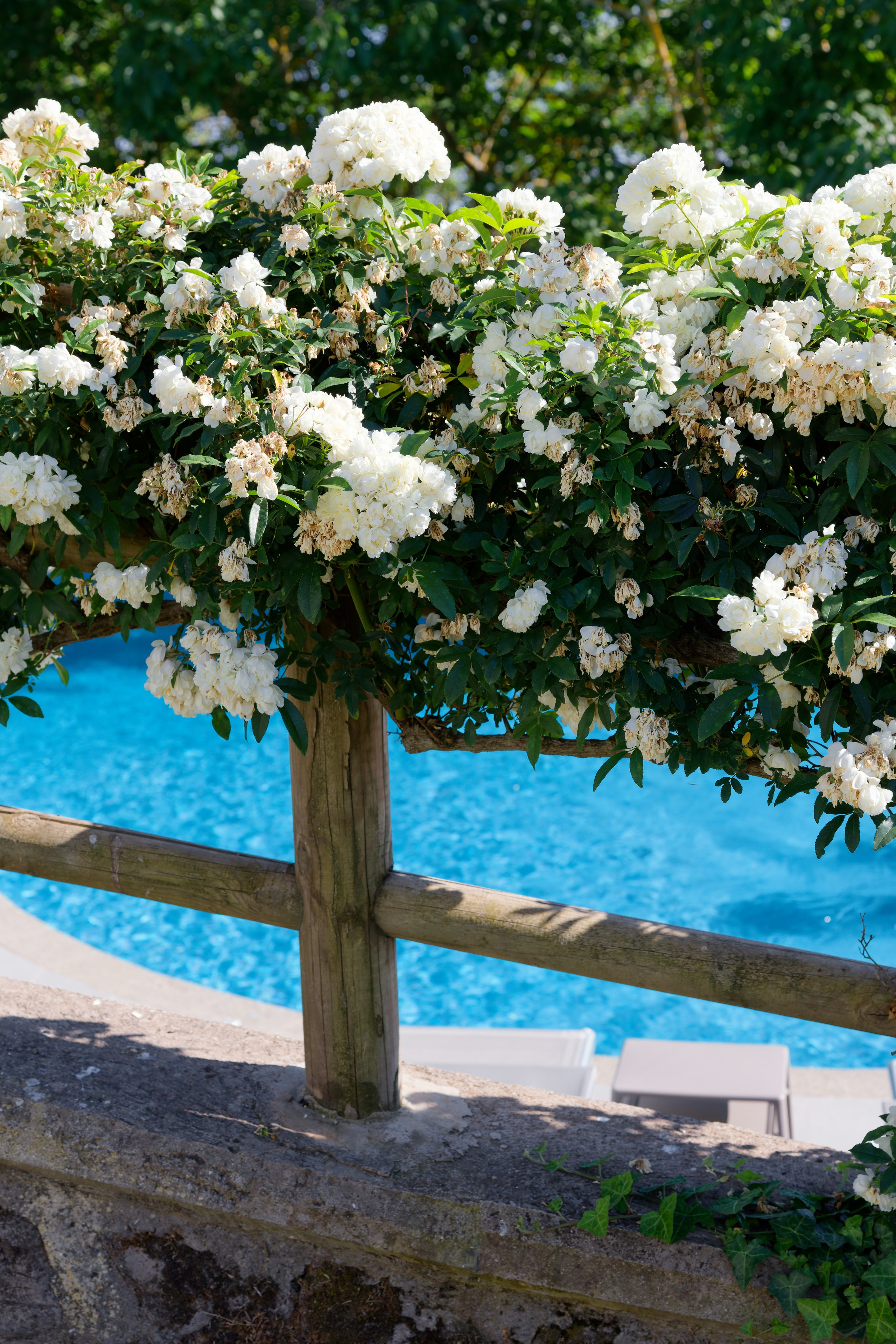 Alana & Joseph. Destination Wedding Photographer — Nikita Burtsev
