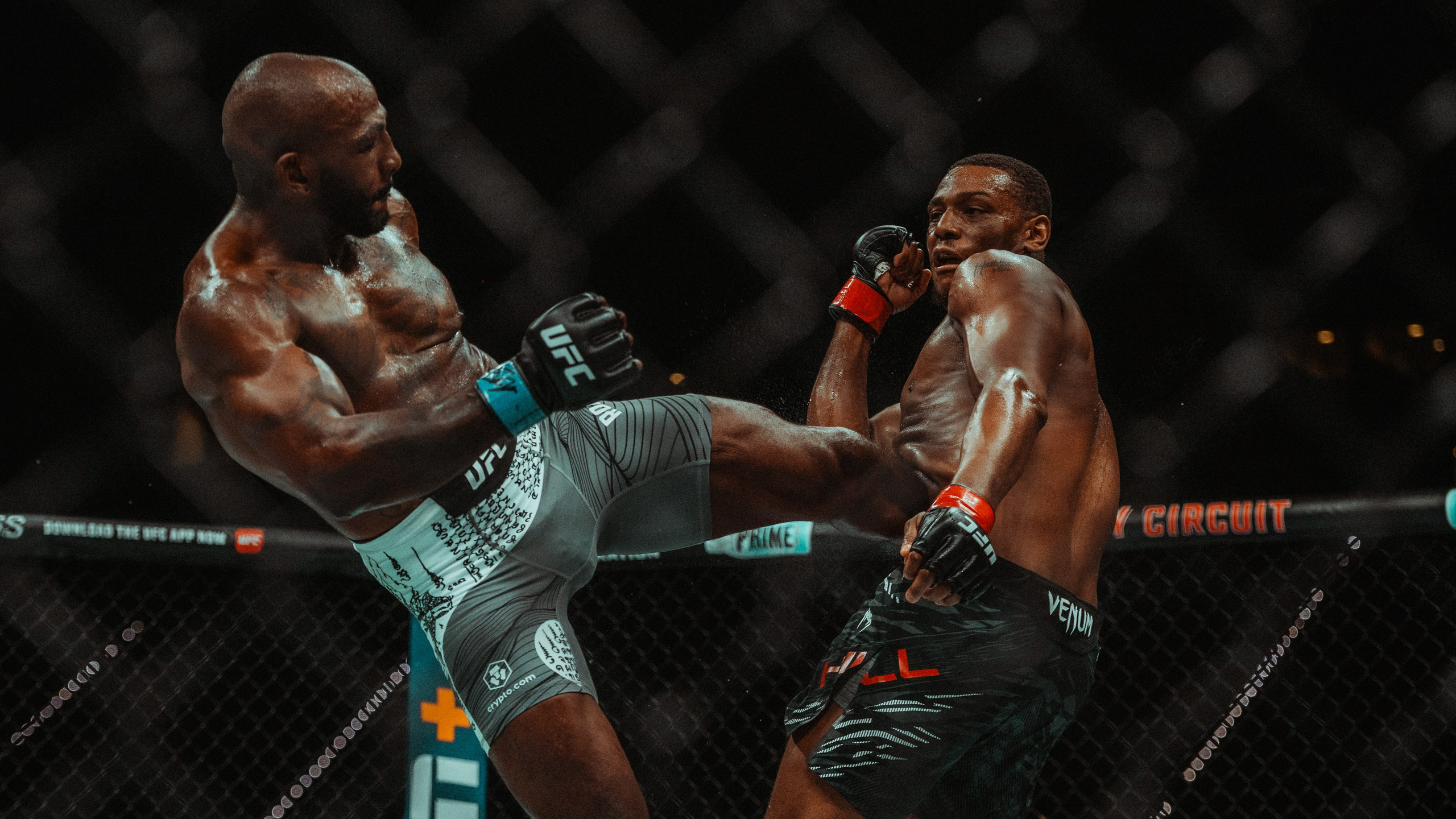 UFC. Commercial and Event photographer Eltaj