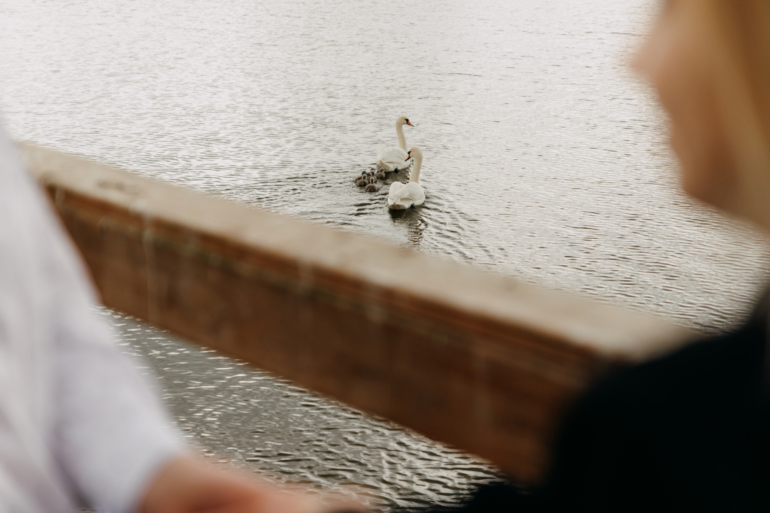 Katarzyna ♡ Łukasz. Fotograf Ślubny Warszawa - Sesje Biznesowe Rodzinne Eventy