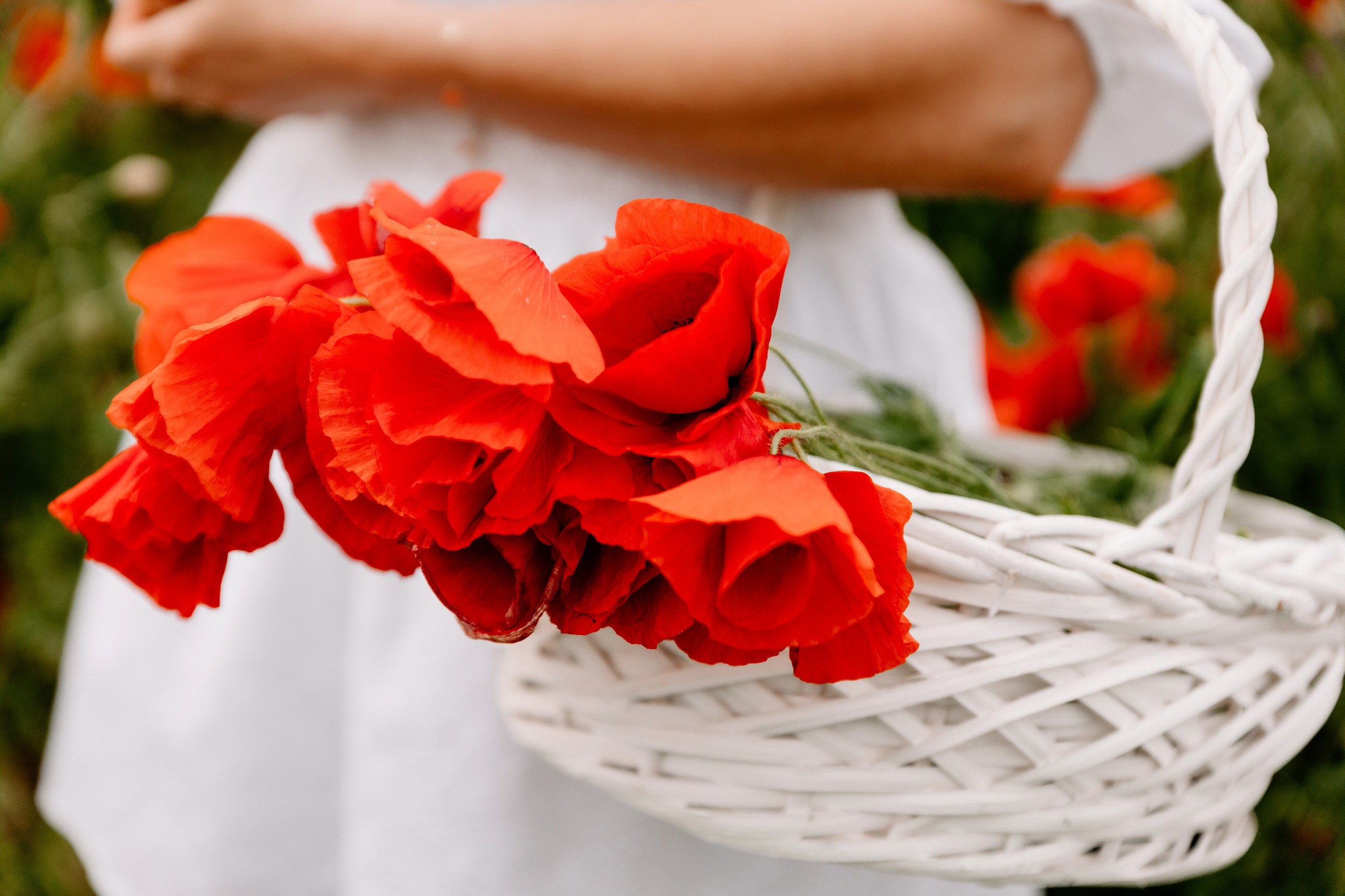 Patrycja ♡ Wojtek. Fotograf Ślubny Warszawa - Sesje Biznesowe Rodzinne Eventy