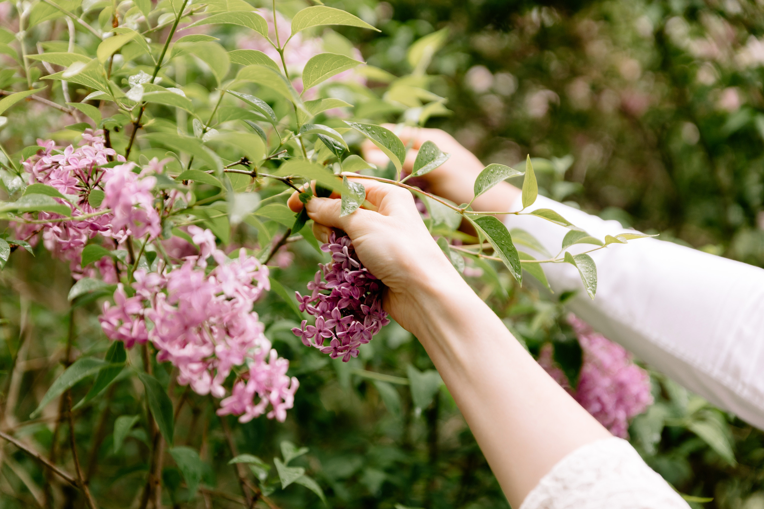 Marcelina ♡ Wiktor. Fotograf Ślubny Warszawa - Sesje Biznesowe Rodzinne Eventy