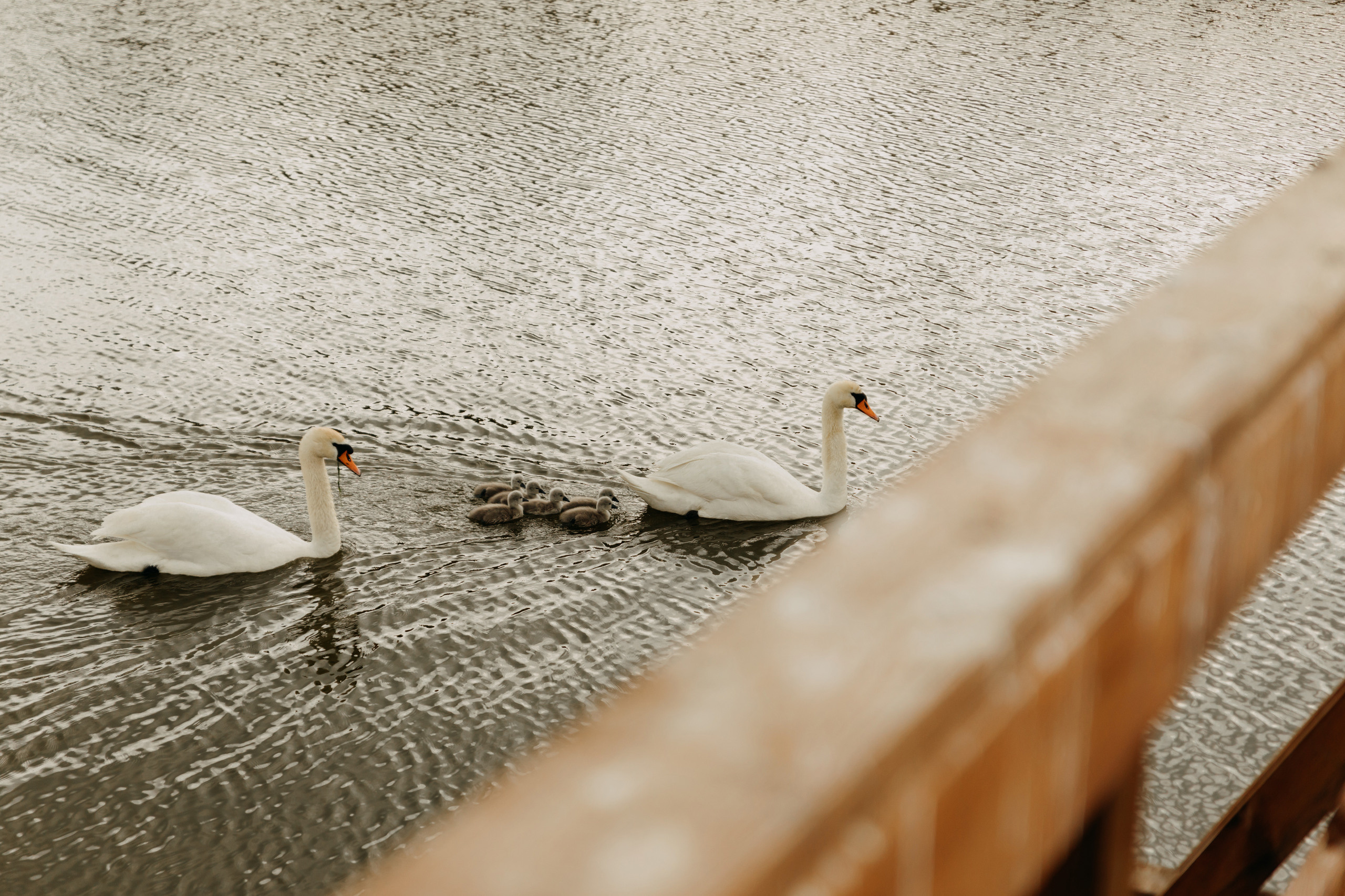 Katarzyna ♡ Łukasz. Fotograf Ślubny Warszawa - Sesje Biznesowe Rodzinne Eventy
